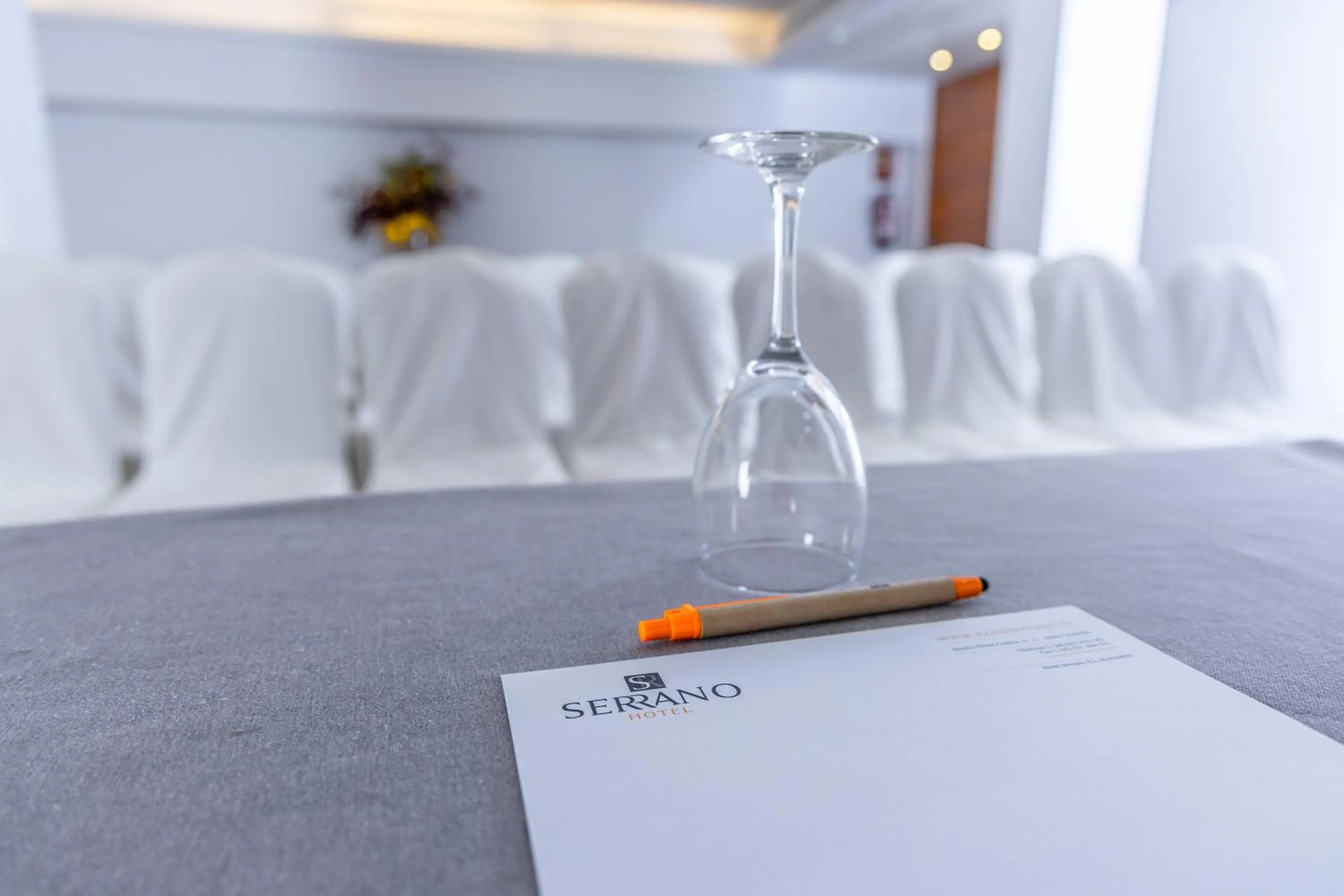 Meeting/conference room, Bed in Hotel Serrano