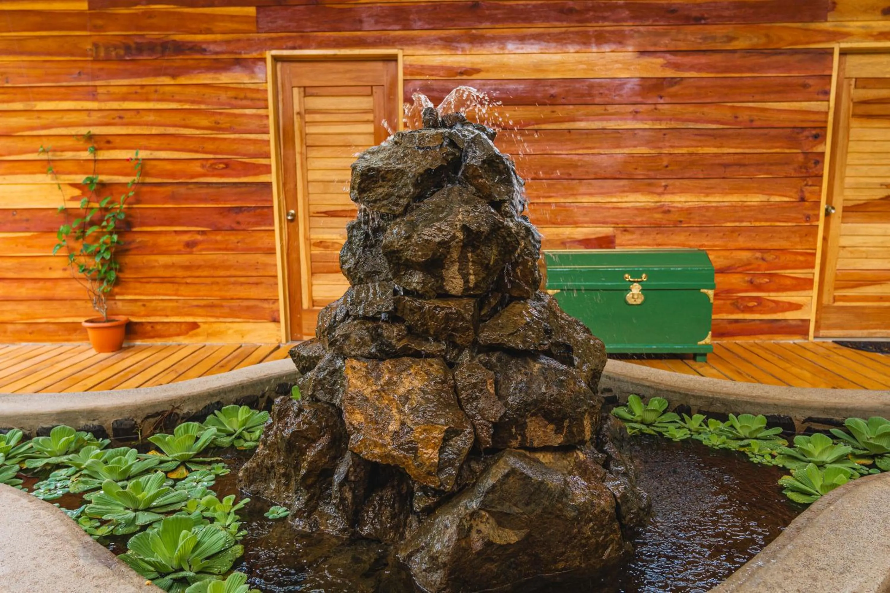 Garden view in Hacienda La Norma Boho Boutique Hotel