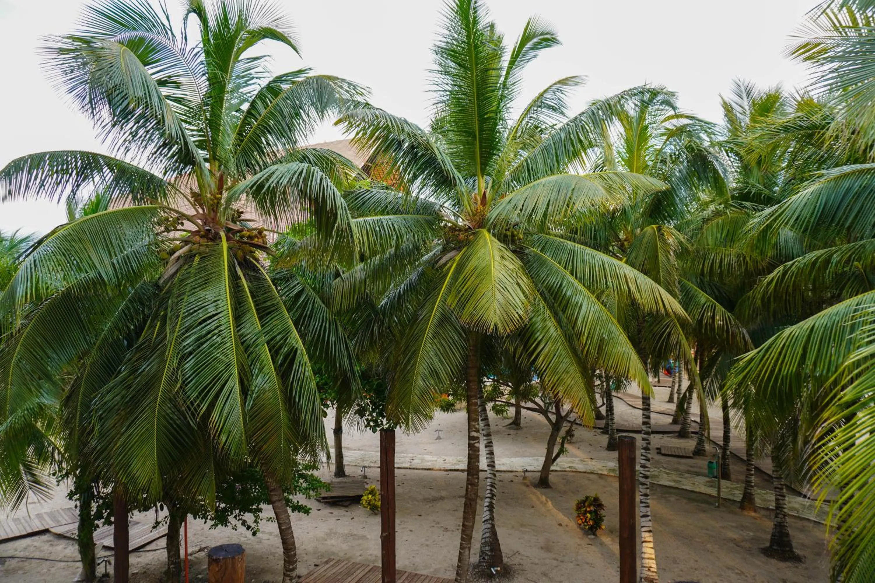 Natural landscape in Castillete Hotel & Beach Club