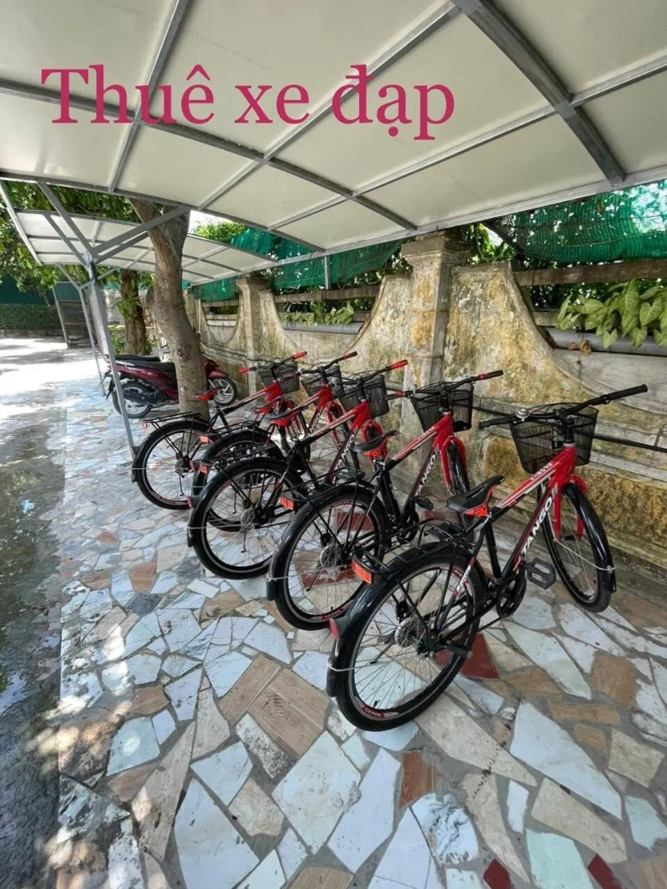 Cycling in Hoa Lu Garden Resort