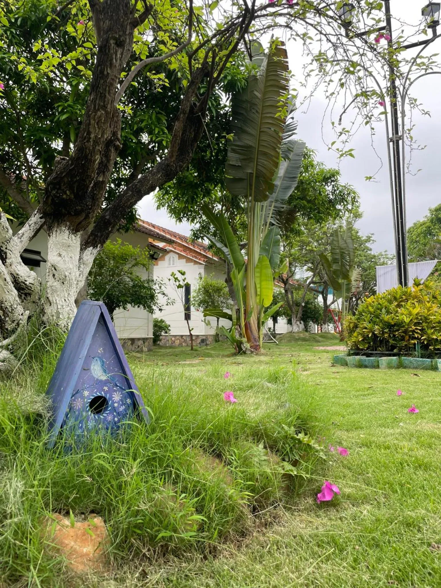Garden in Hoa Lu Garden Resort