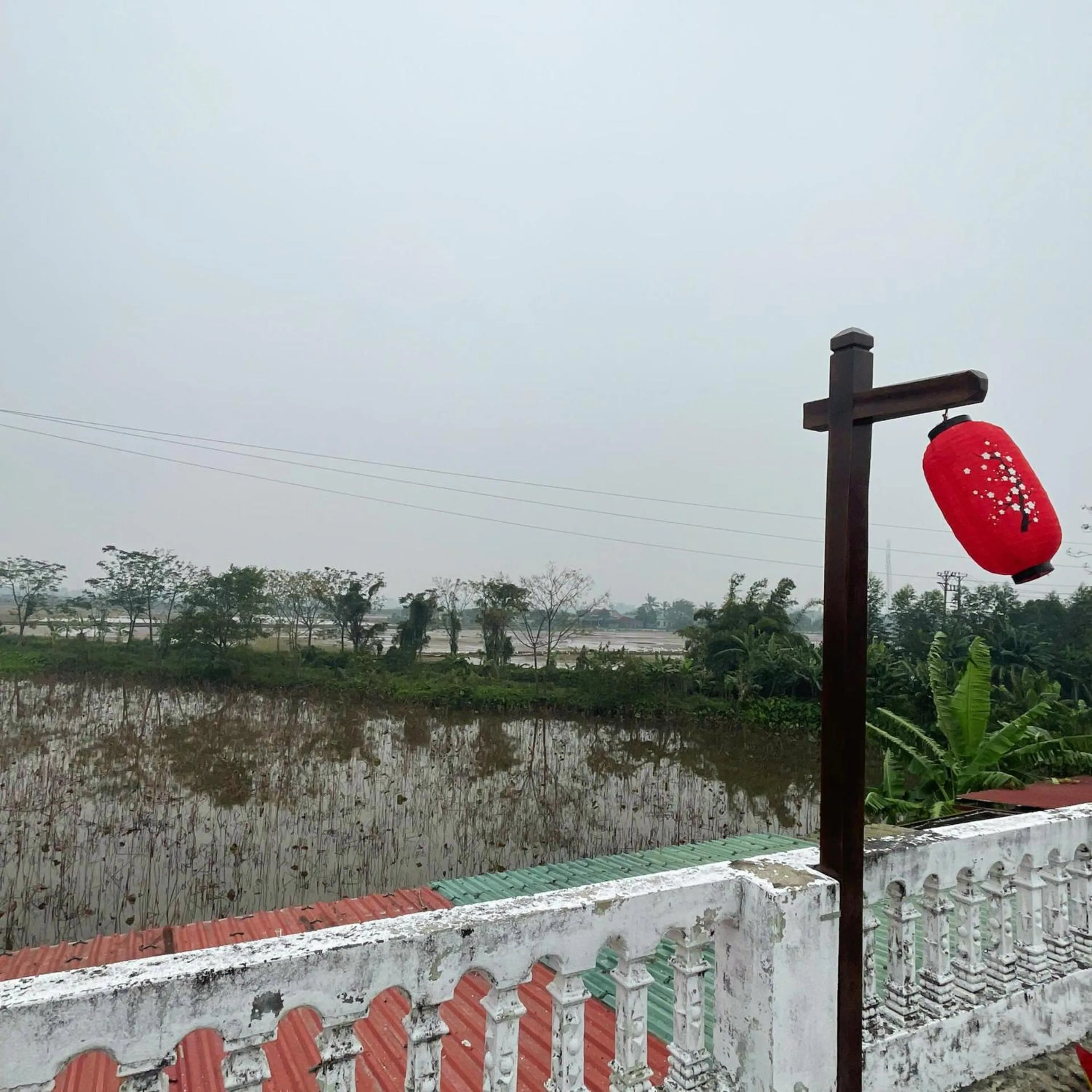 View (from property/room) in Hoa Lu Garden Resort