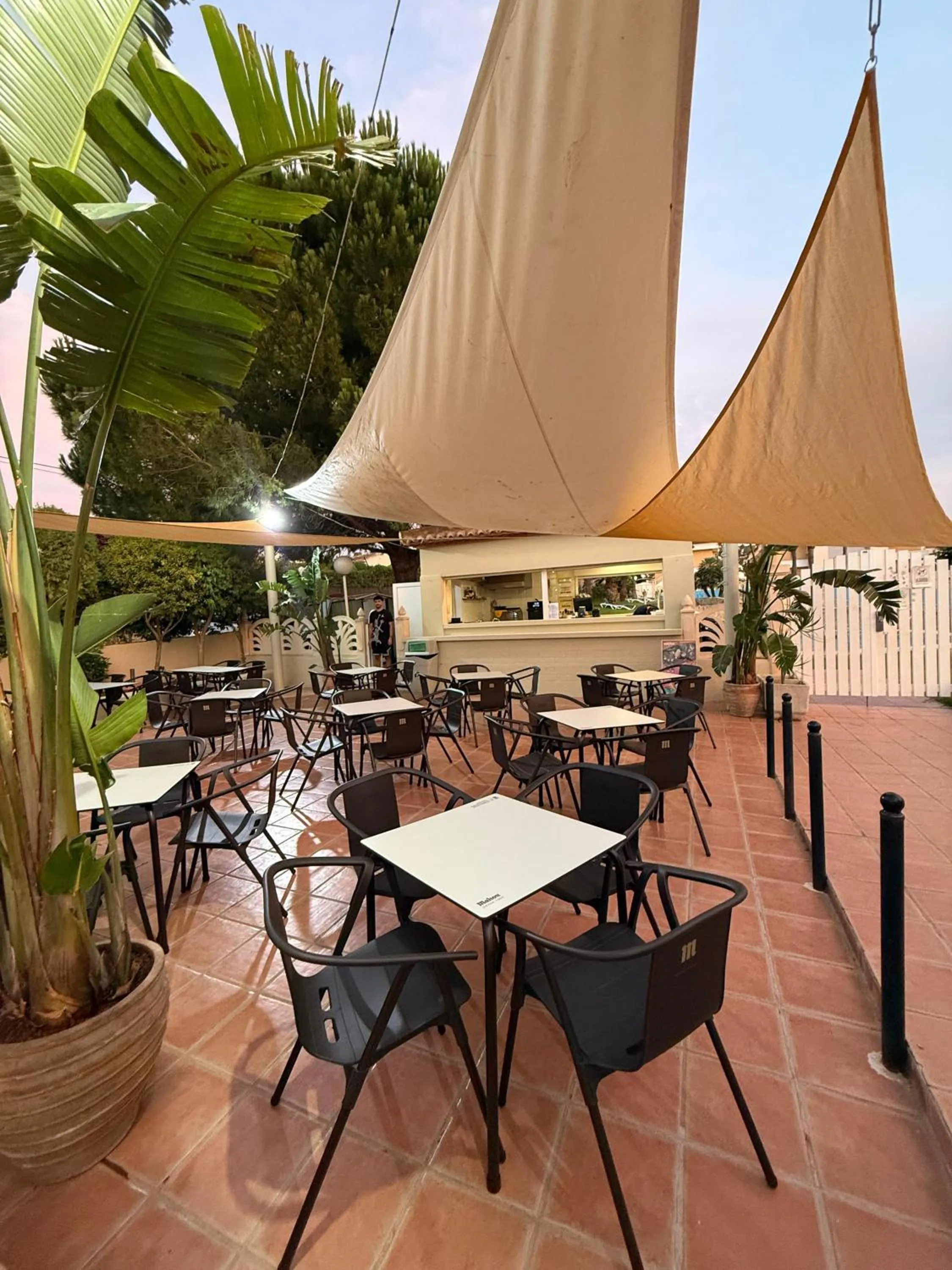 Day in Aparthotel Bahia Pinosol