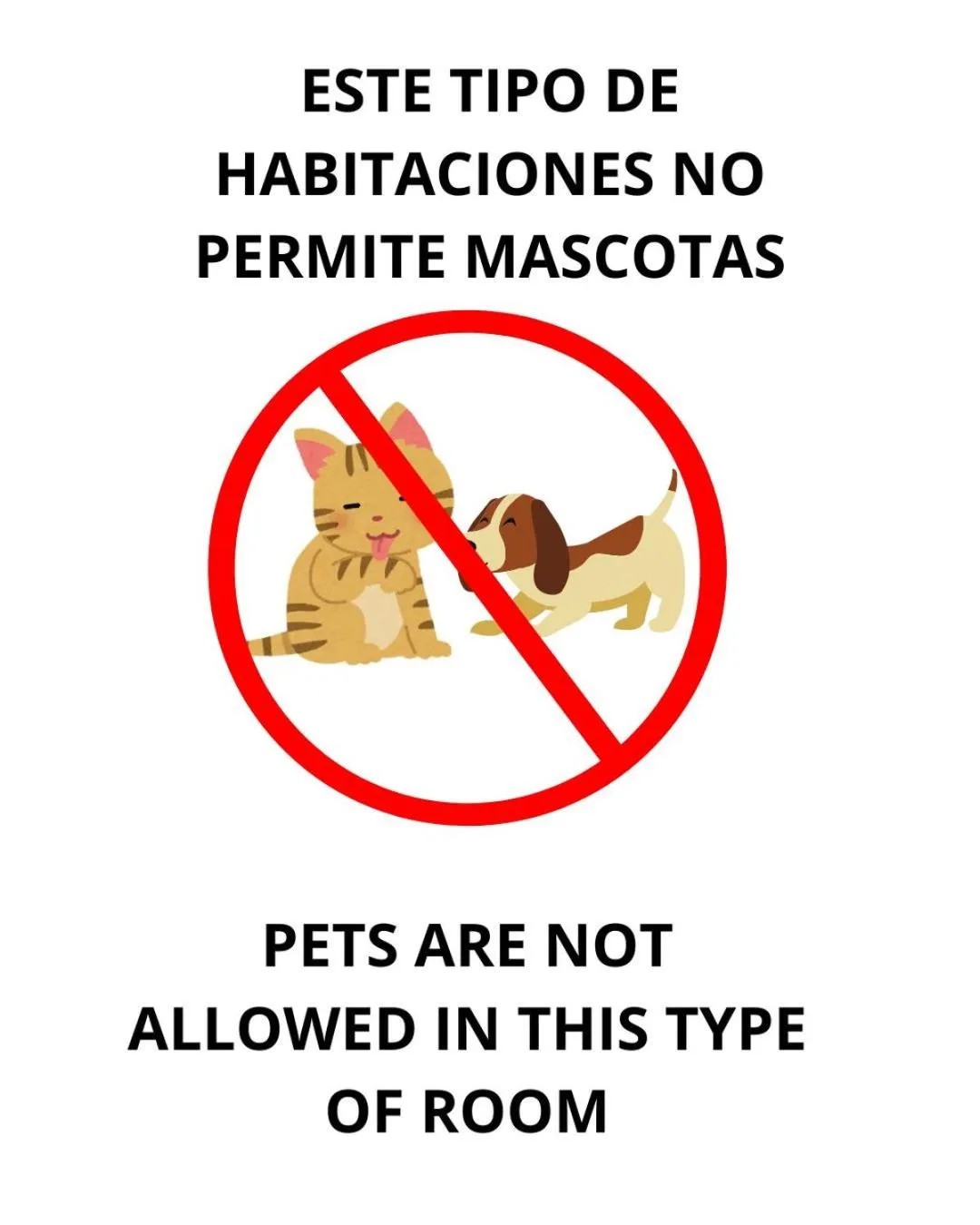 Pets in Aparthotel Bahia Pinosol