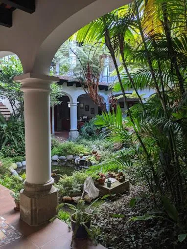 Patio in Hotel y Jardines Casa Búho
