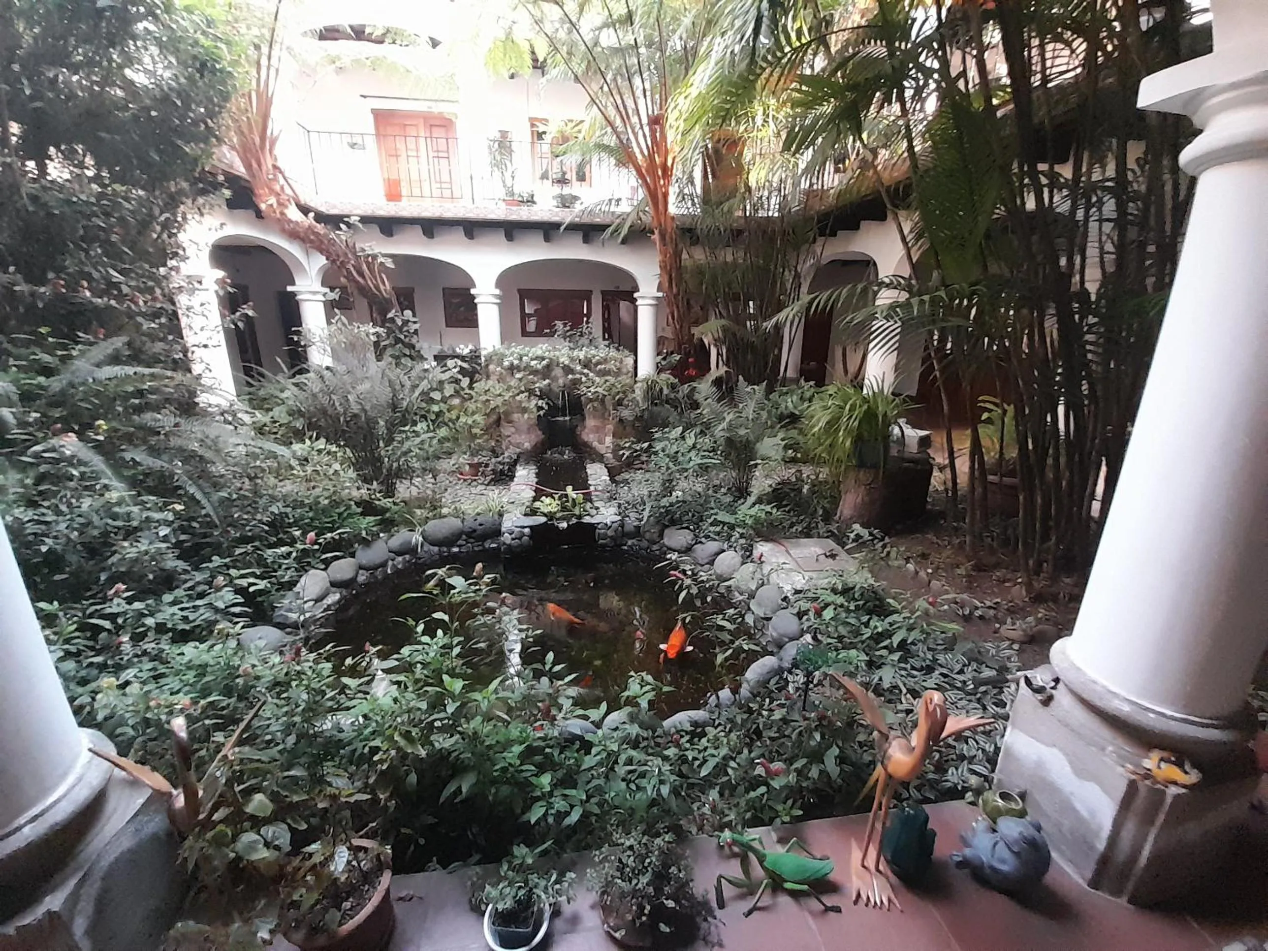 Natural landscape in Hotel y Jardines Casa Búho