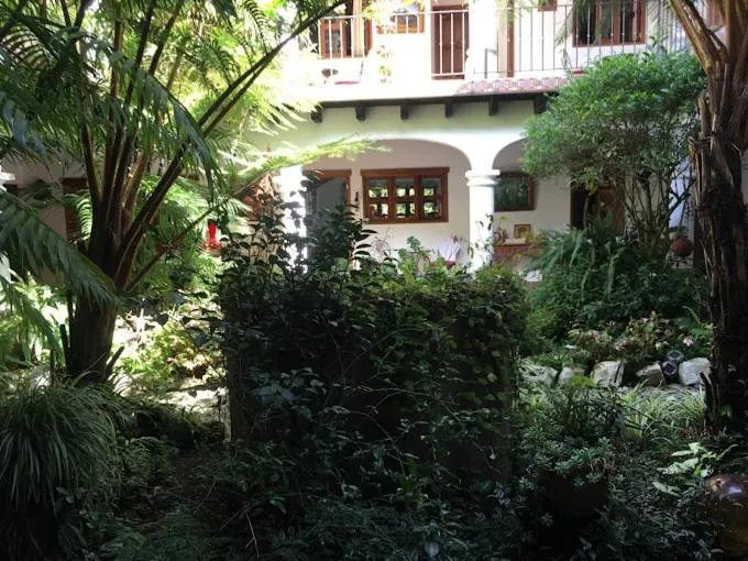 Property building in Hotel y Jardines Casa Búho
