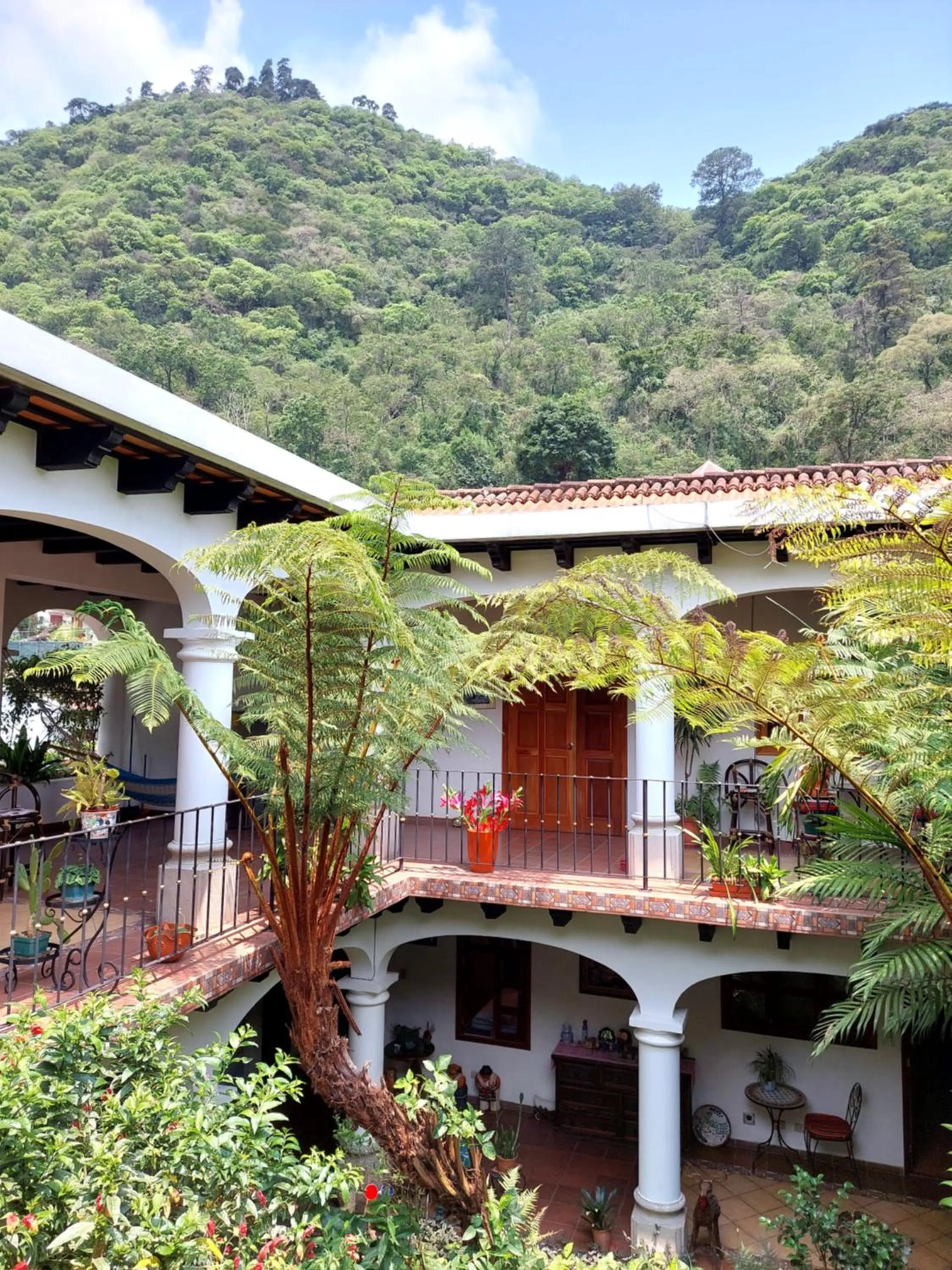 Hotel y Jardines Casa Búho