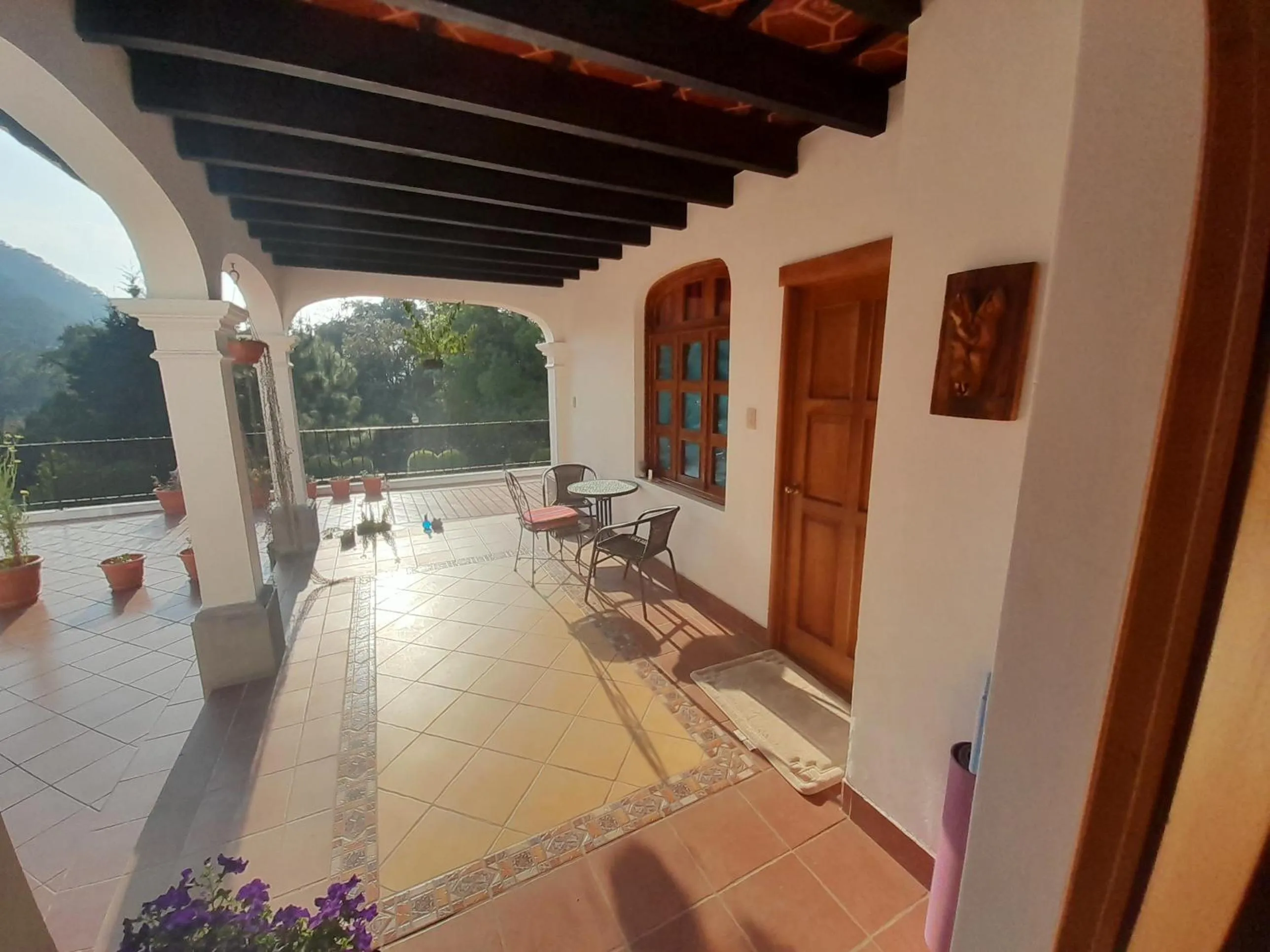 Patio in Hotel y Jardines Casa Búho