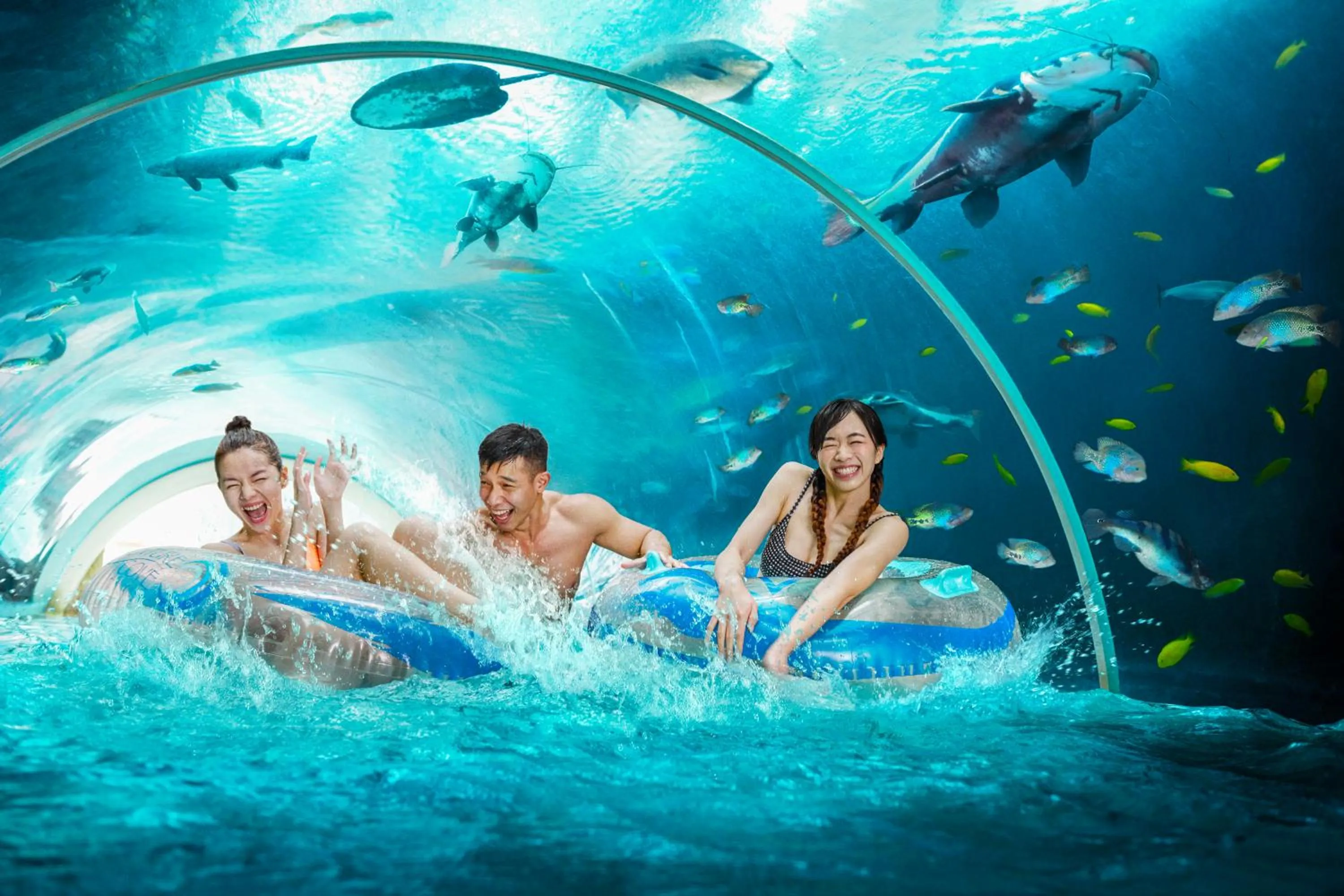 Aqua park in Resorts World Sentosa - Hotel Ora