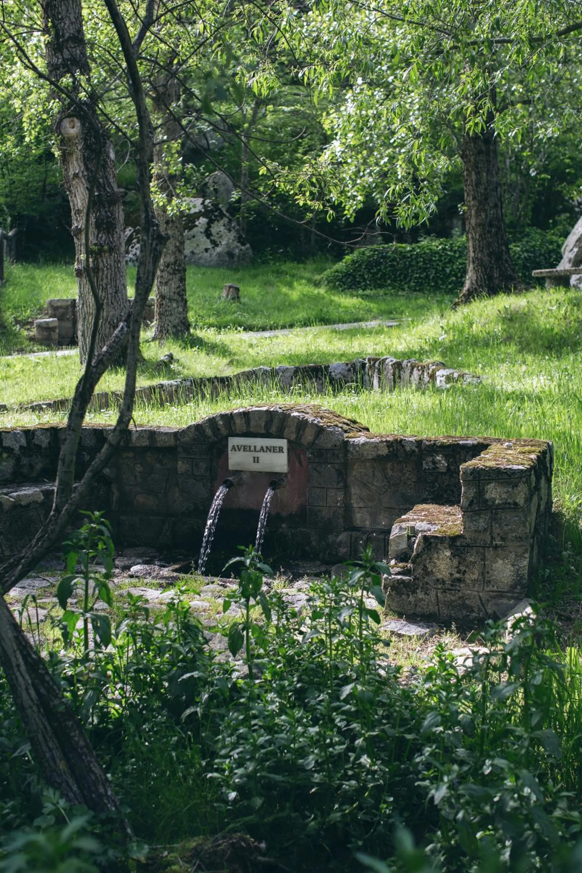 Garden in Hotel Caldas