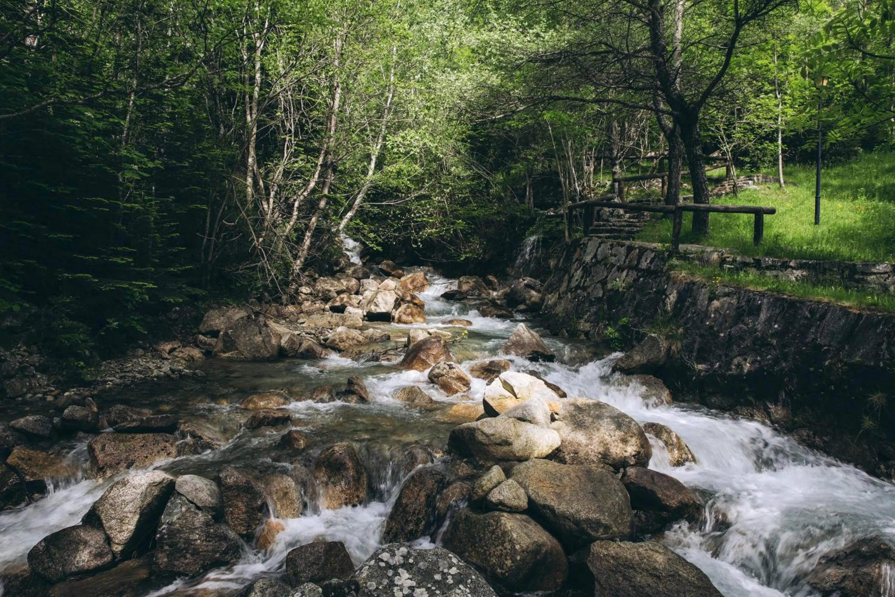 Natural landscape in Hotel Manantial