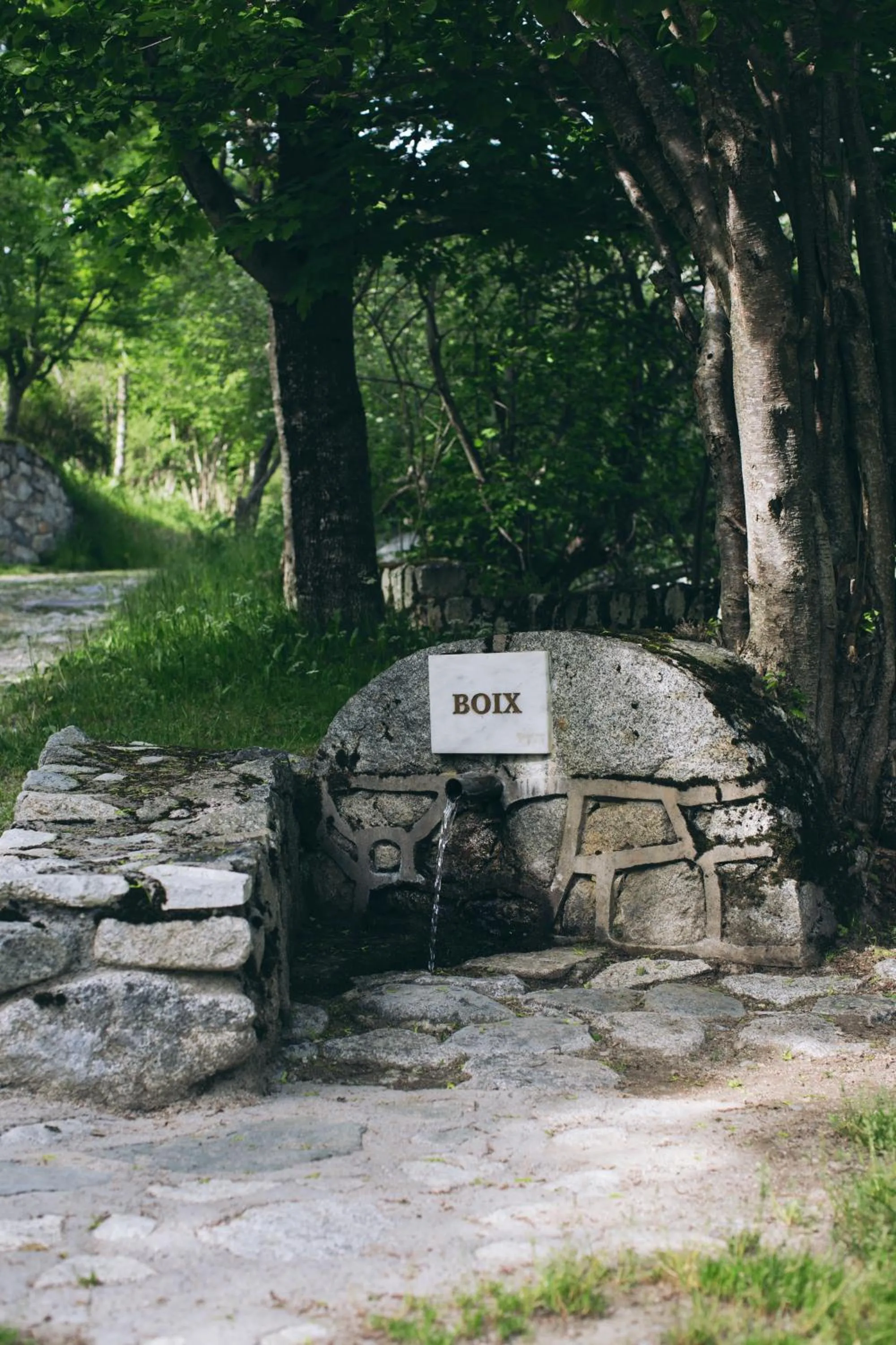 Natural landscape in Hotel Manantial