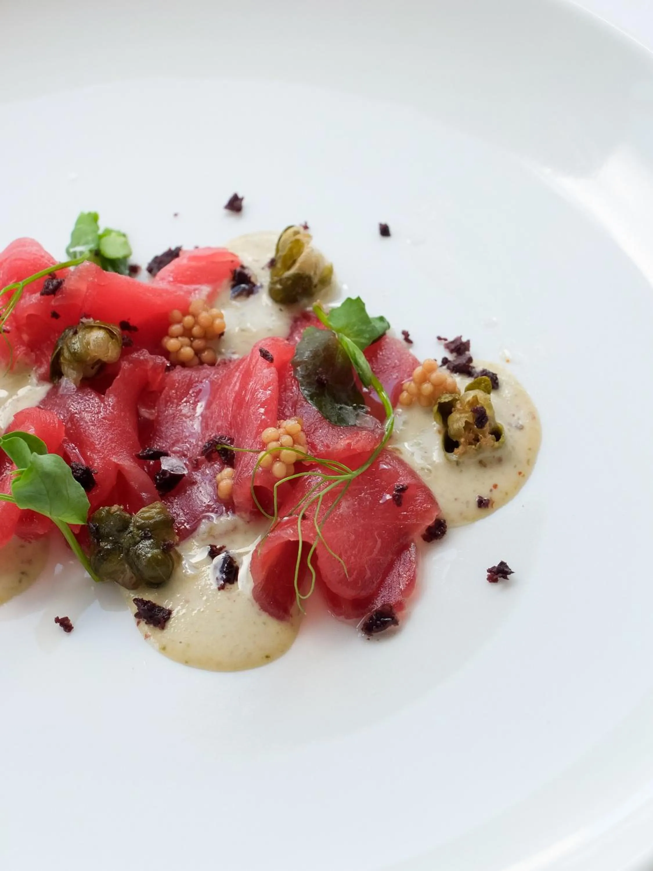 Restaurant/places to eat in Hostal Empúries