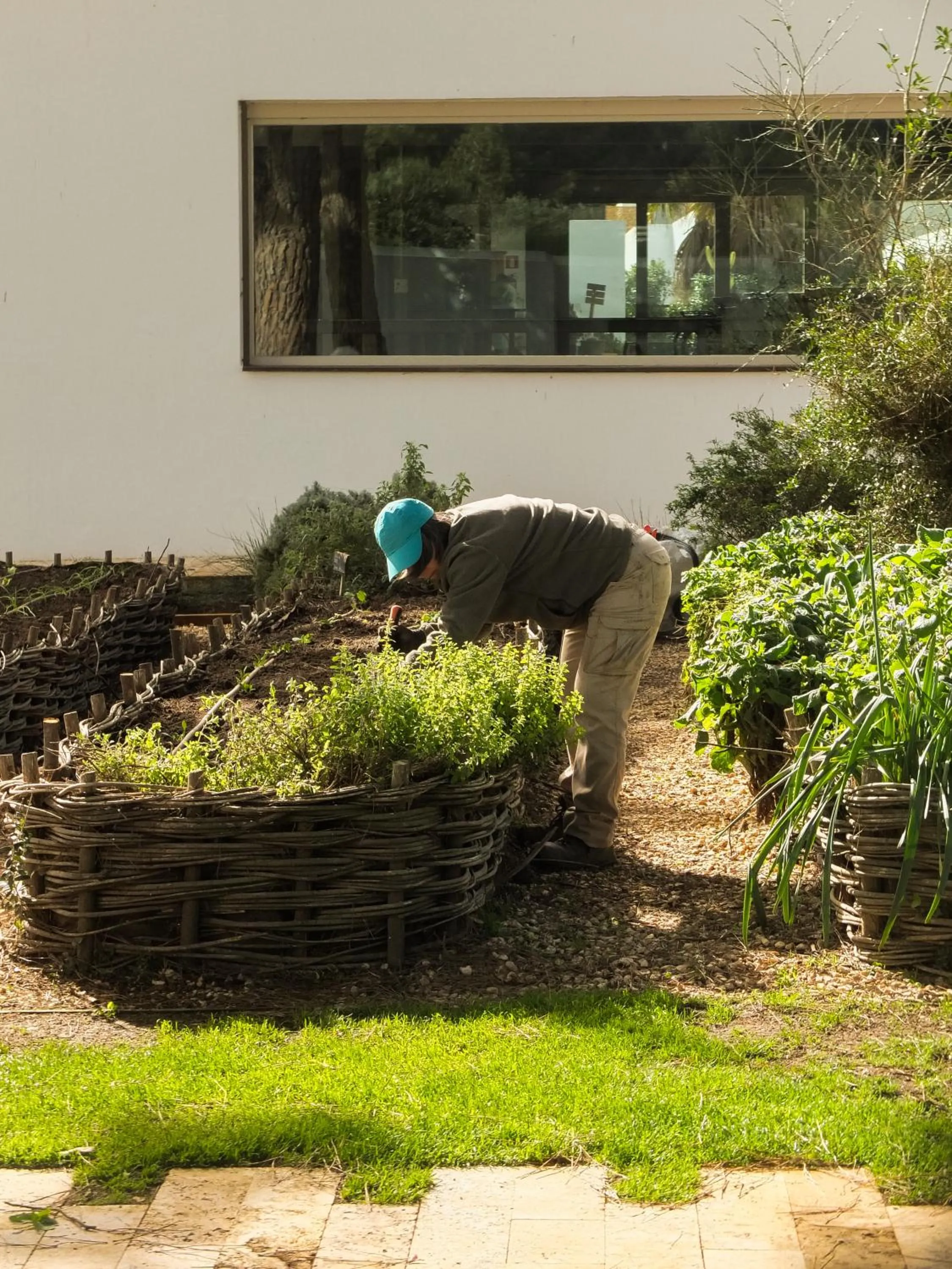 Garden in Hostal Empúries