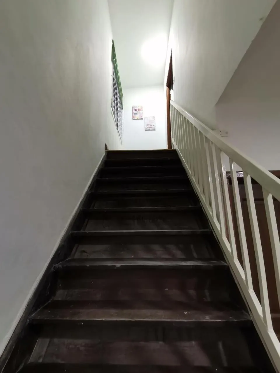 View (from property/room) in Natol Homestay - Kenyalang Park