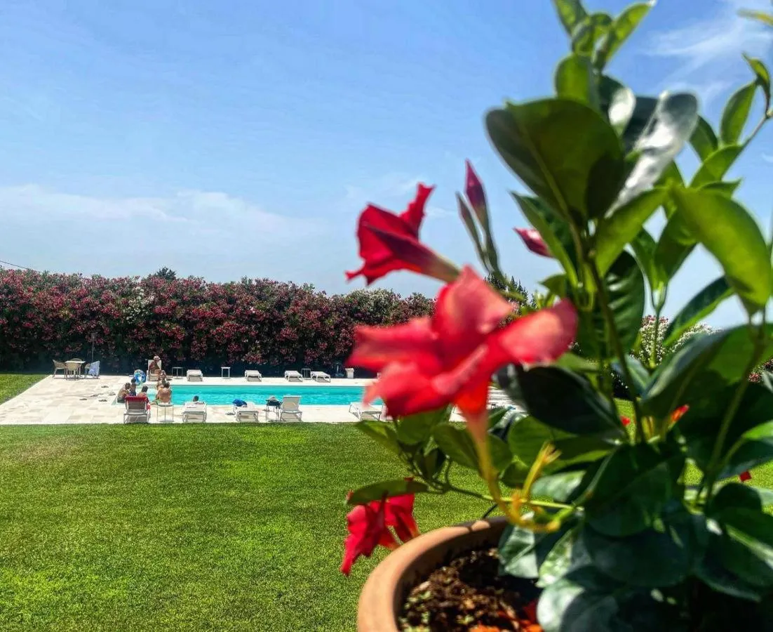 Swimming Pool in ARIA - Villa di Campagna