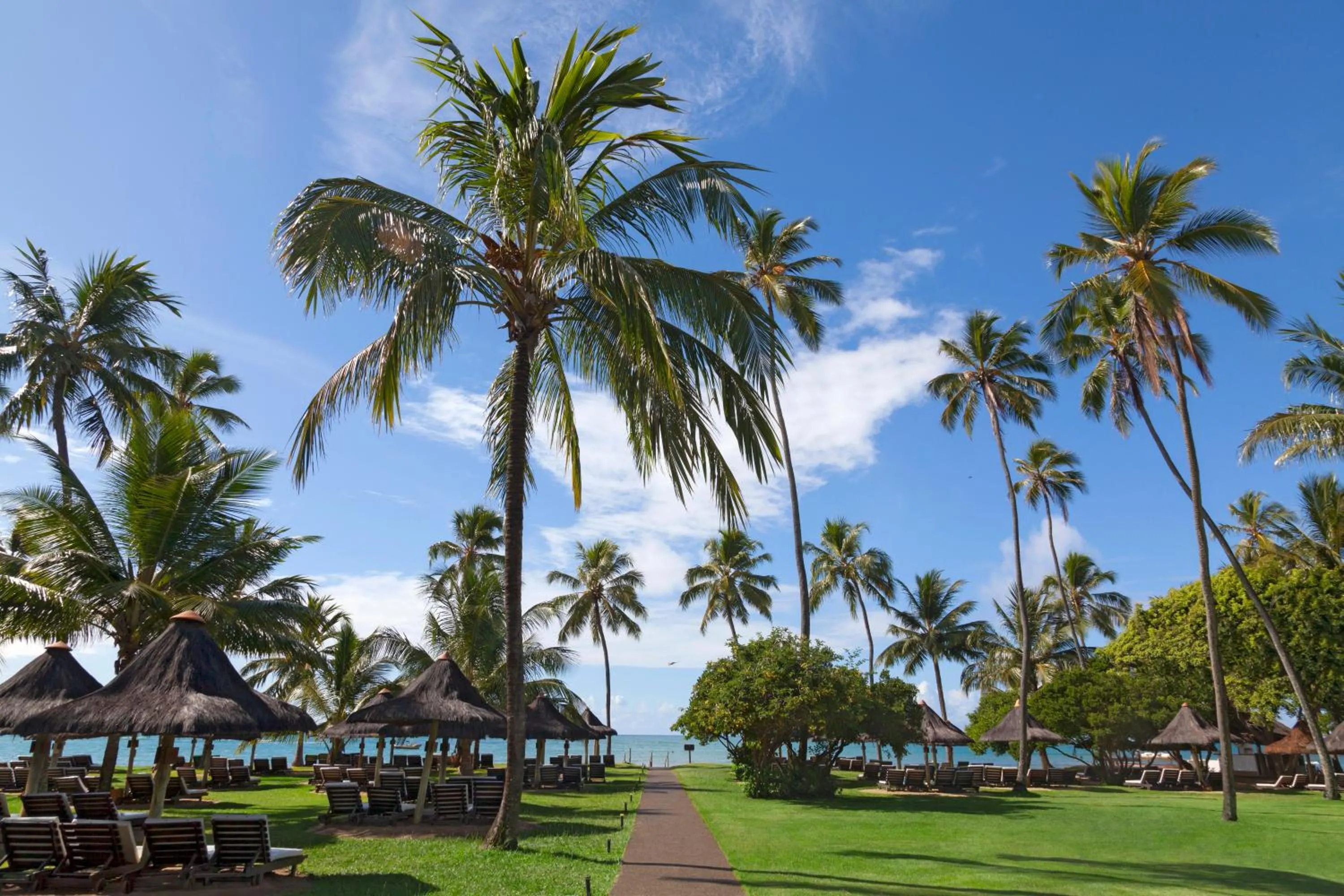Natural landscape in Tivoli Ecoresort Praia do Forte
