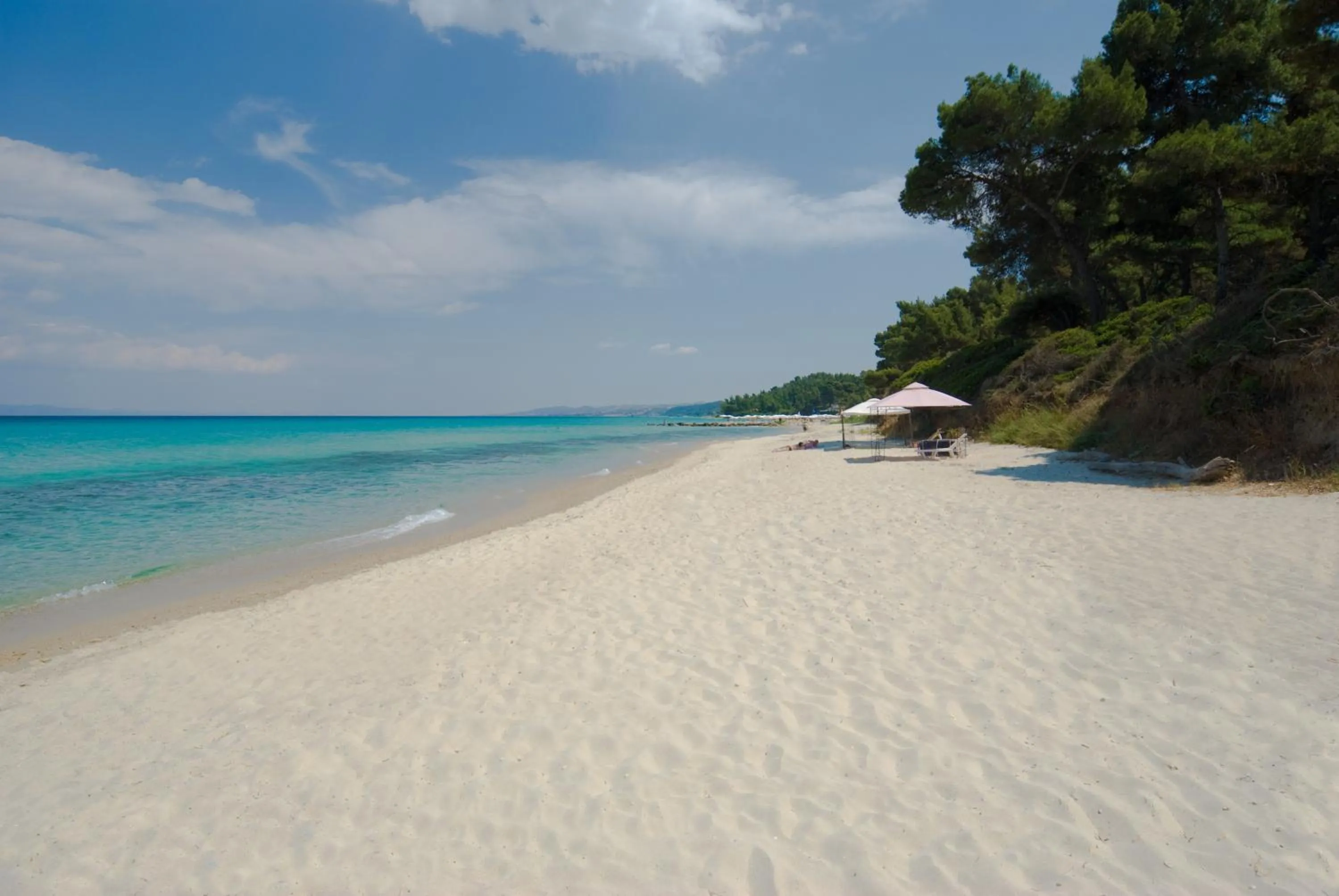 Day in Palladium Hotel