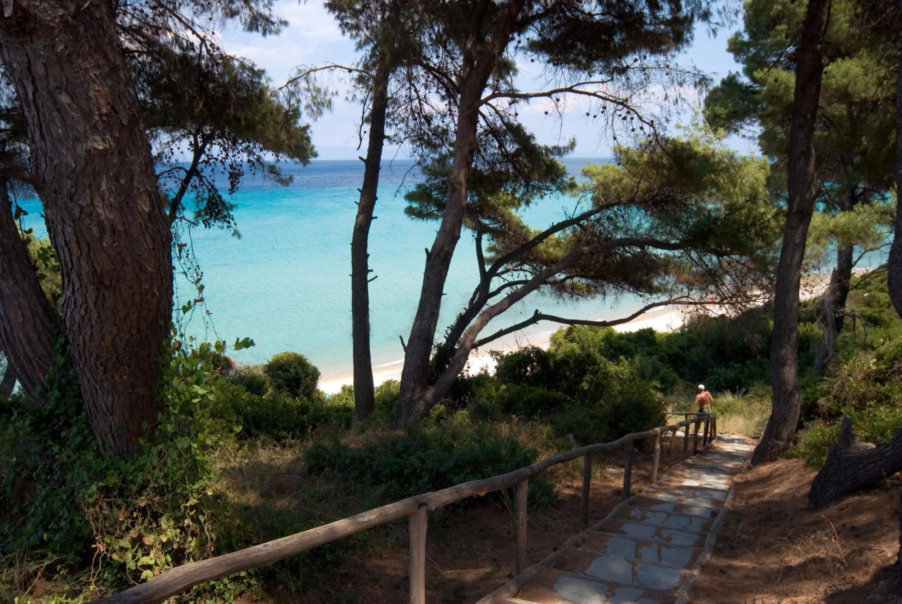 Day in Palladium Hotel