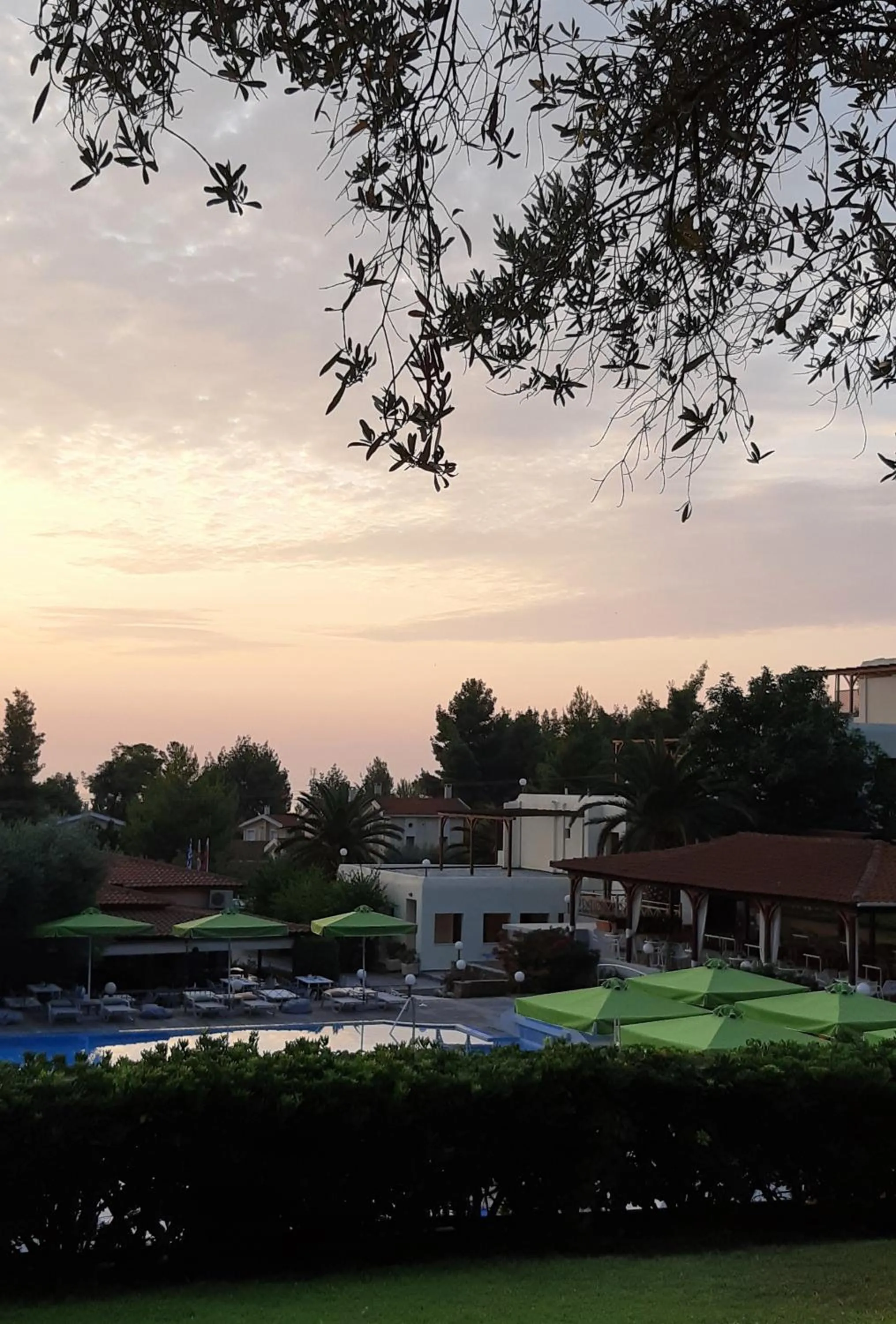 Swimming pool in Palladium Hotel