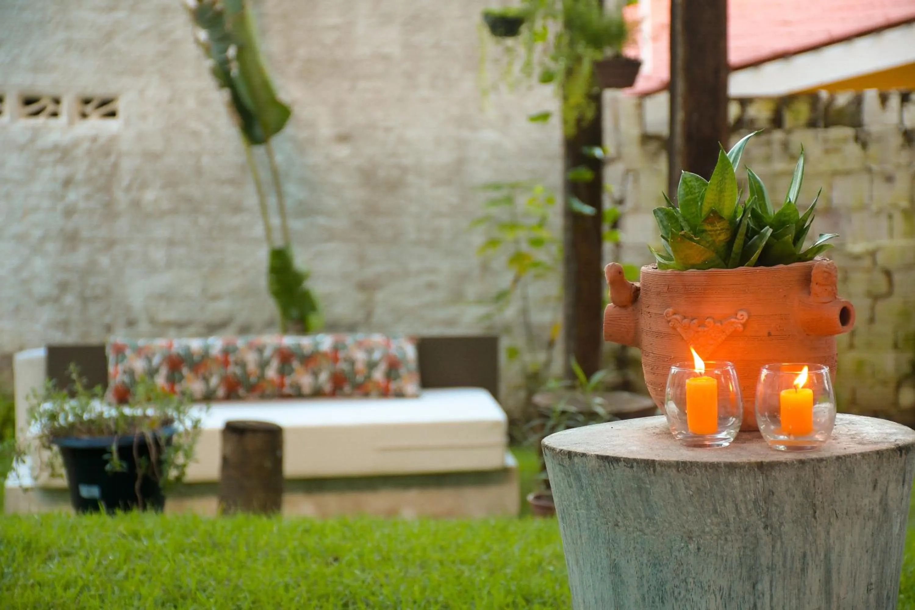 Garden in Milie Lounge Pousada