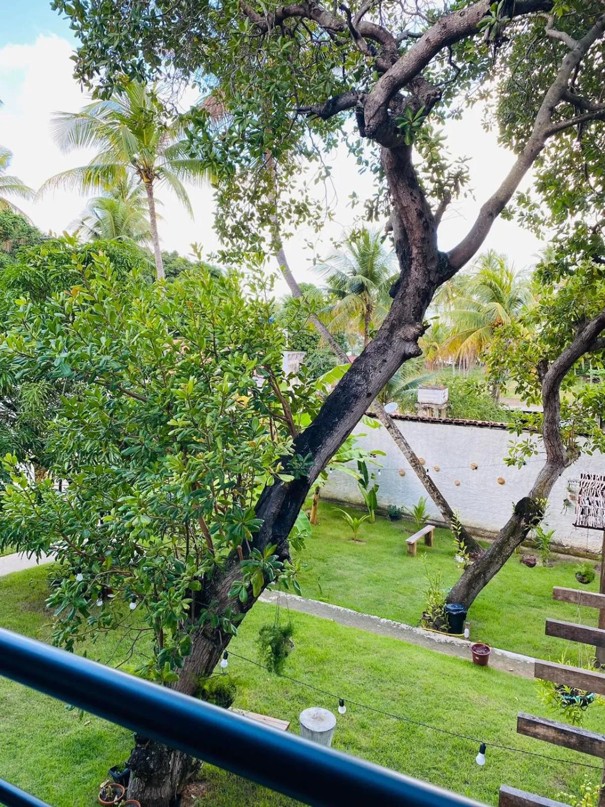 Garden in Milie Lounge Pousada