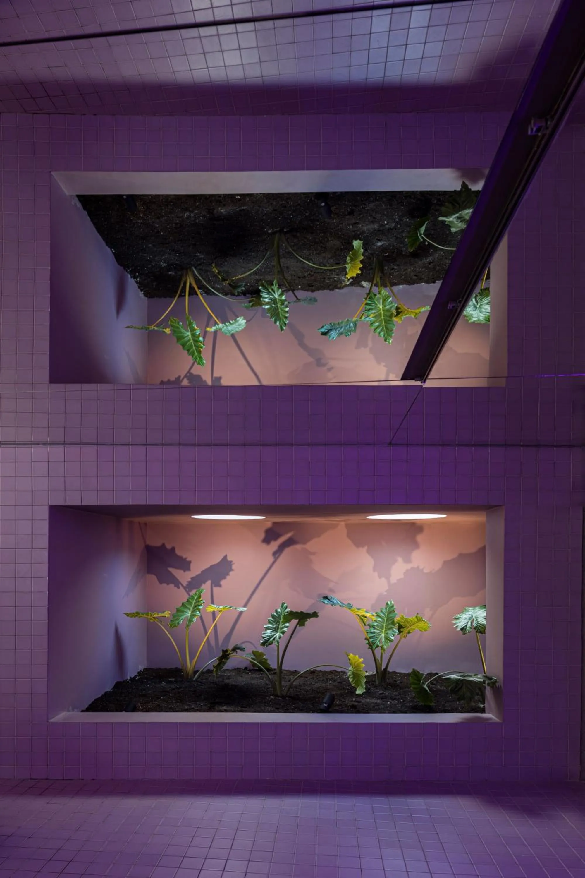 Fitness centre/facilities in Neo Suites