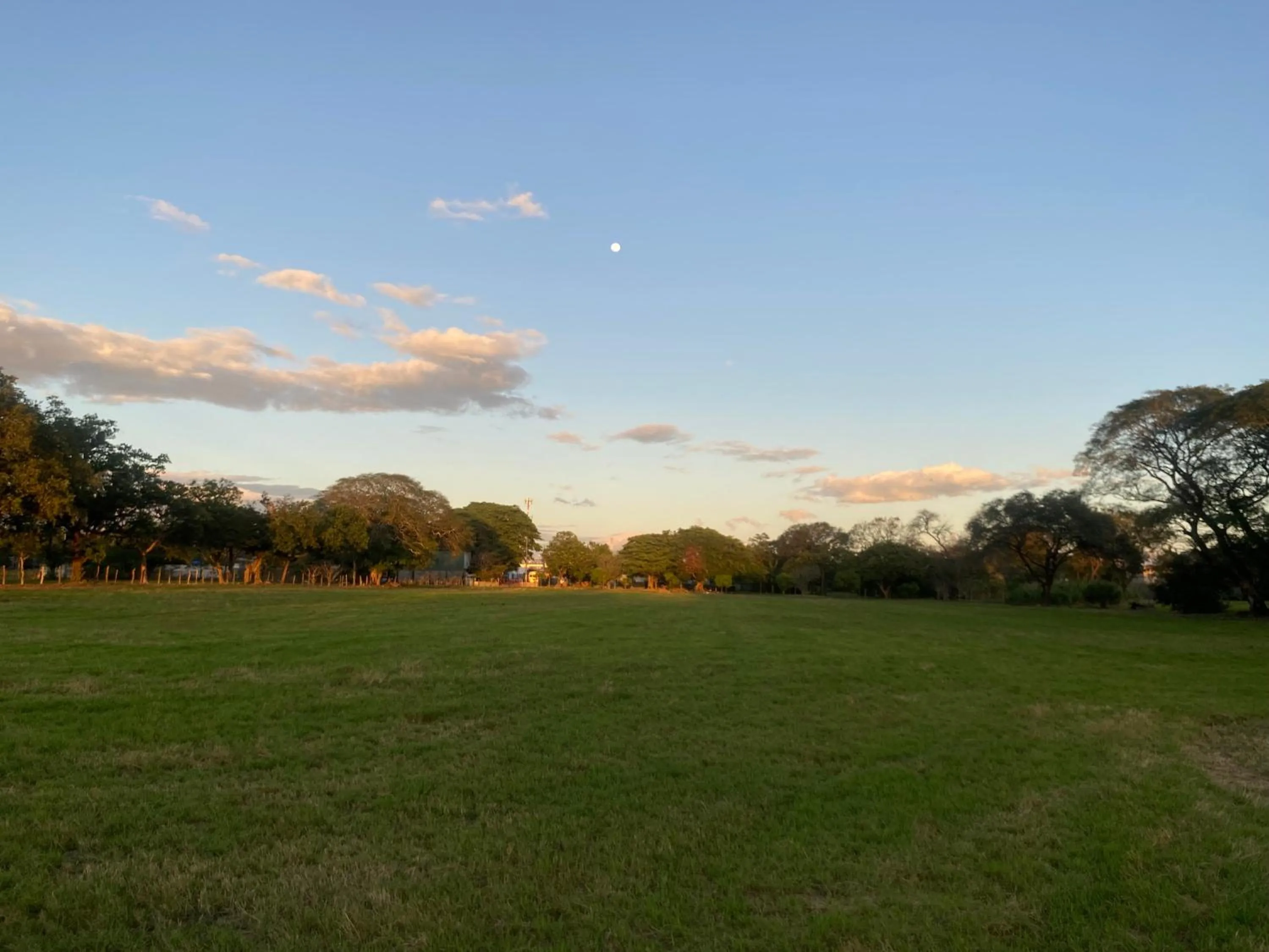 Natural landscape in Hotel Del Aserradero