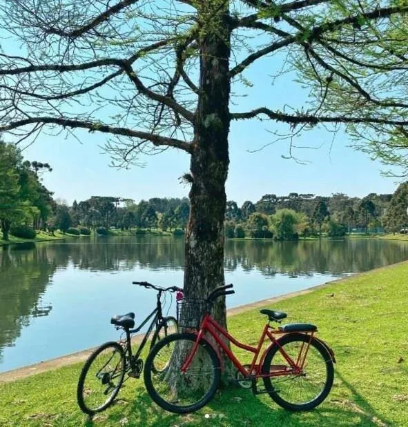 Luxuoso Studio 2007 Laje de Pedra Gramado Canela