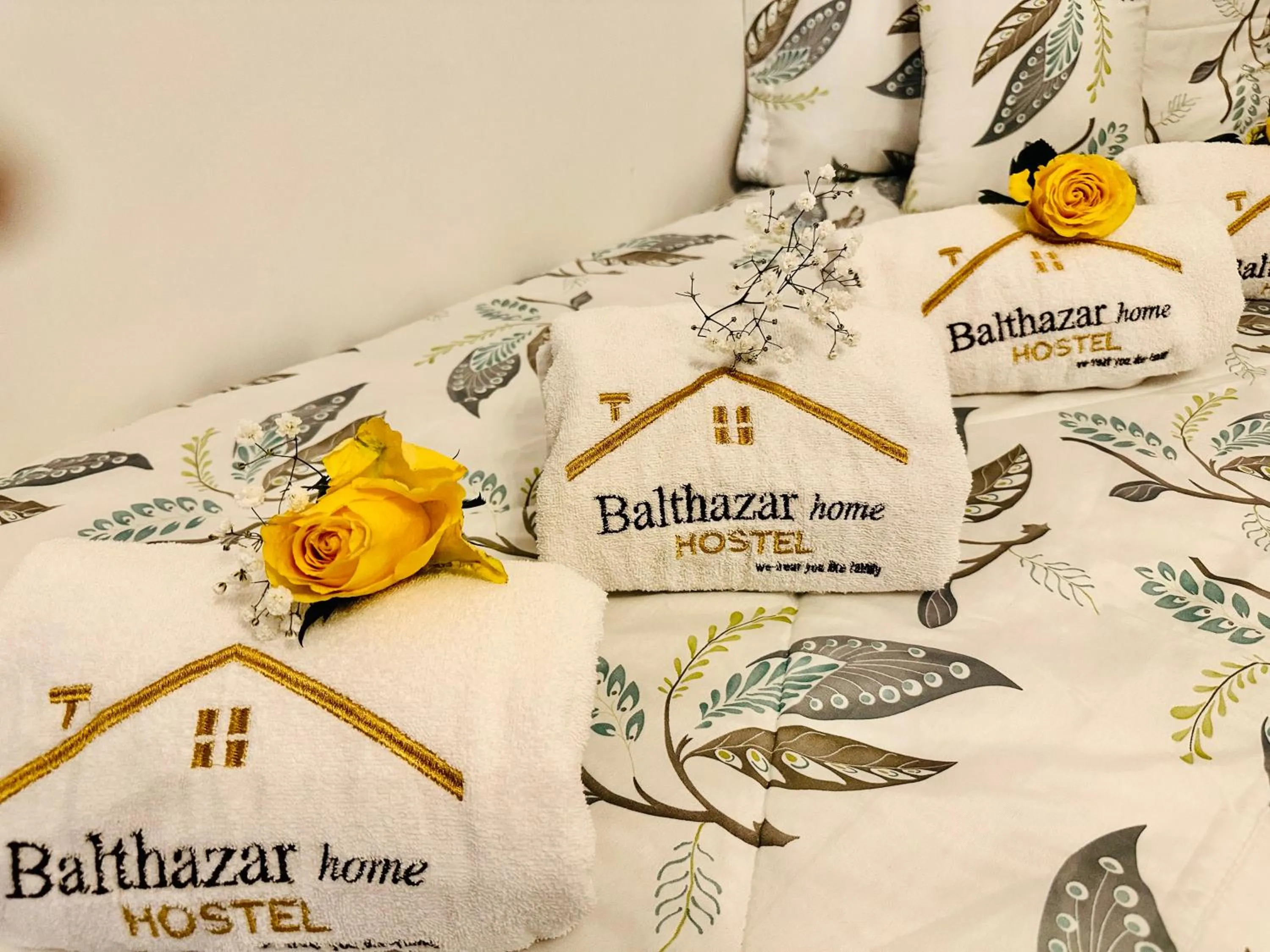 Photo of the whole room in Casa Balthazar Hostel