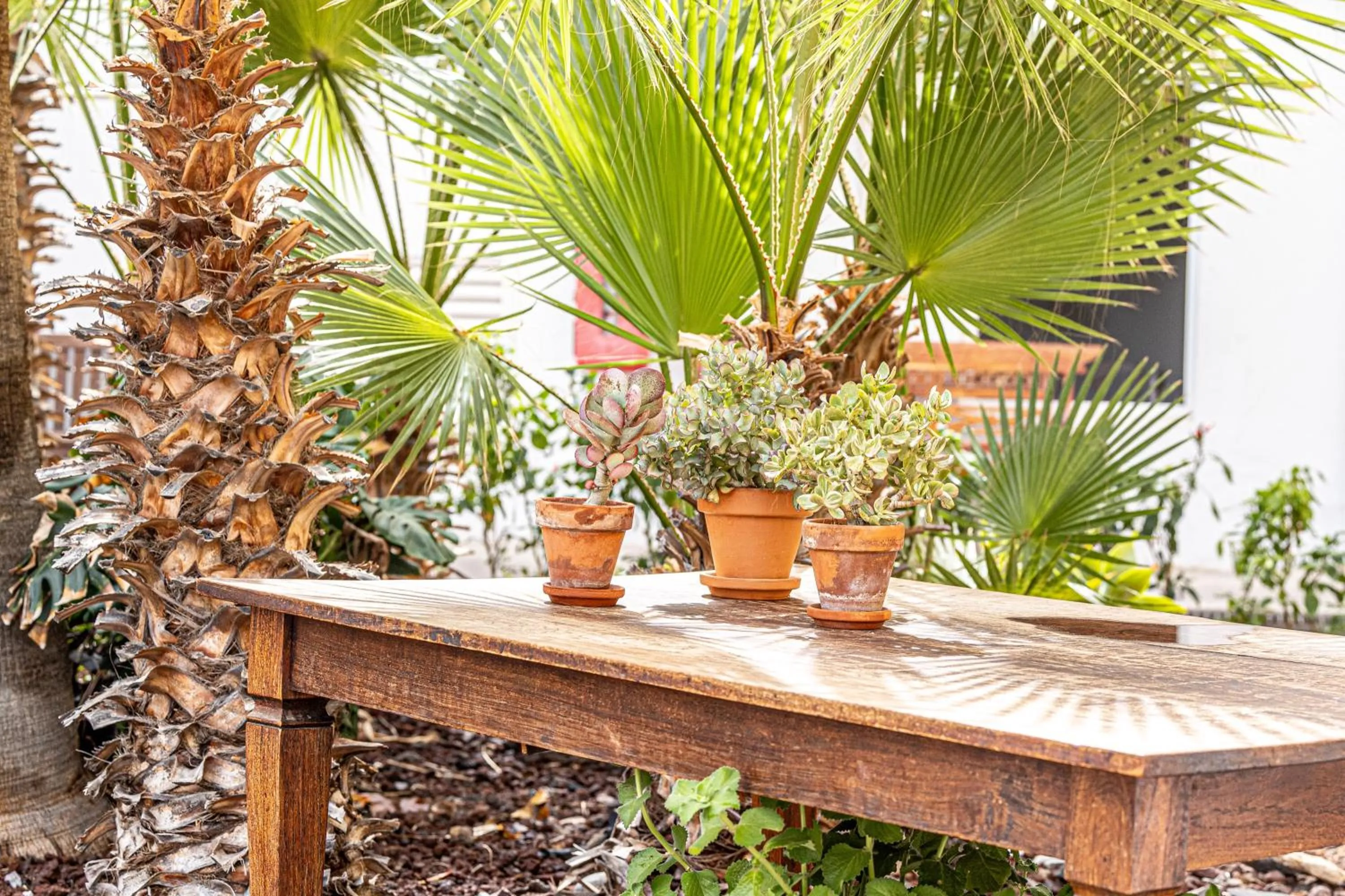 Garden in Atlantic Holiday Hotel