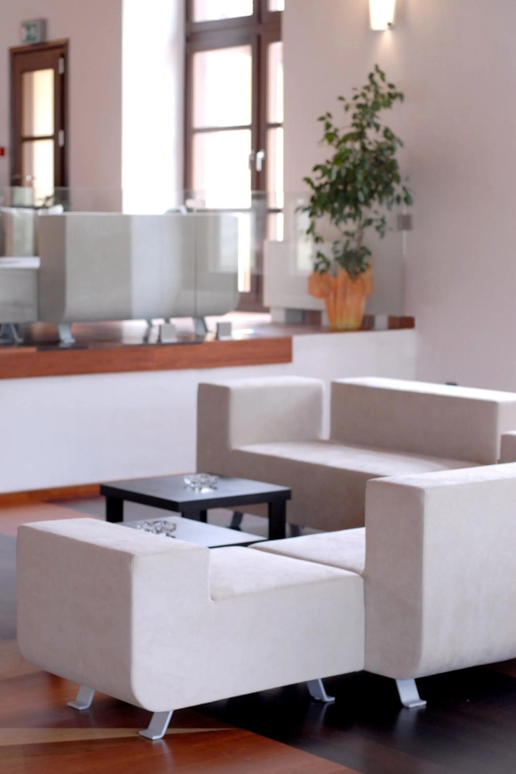 Lobby or reception in Meteora Hotel at Kastraki