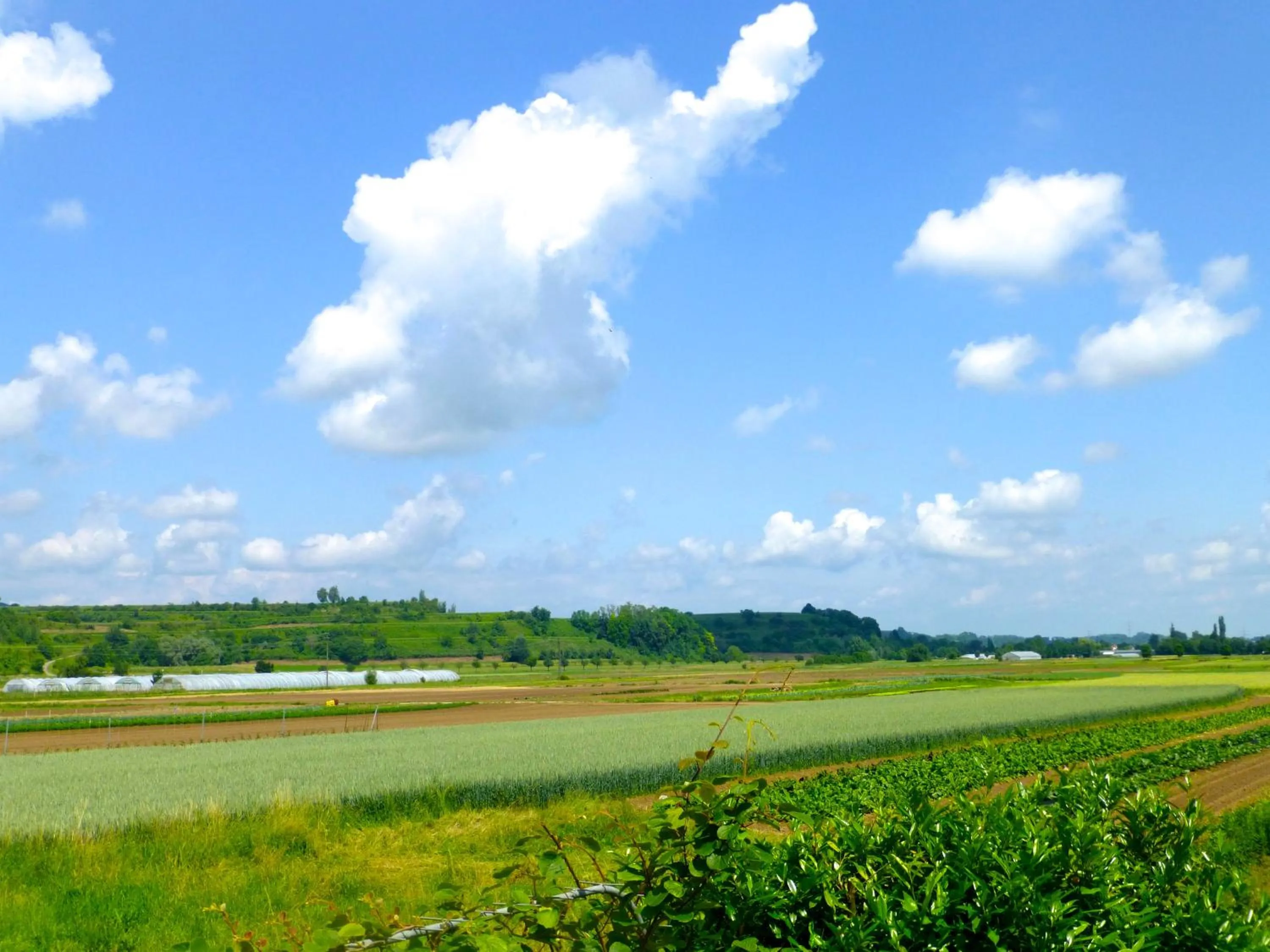 Restaurant/places to eat in Gasthof Rebland