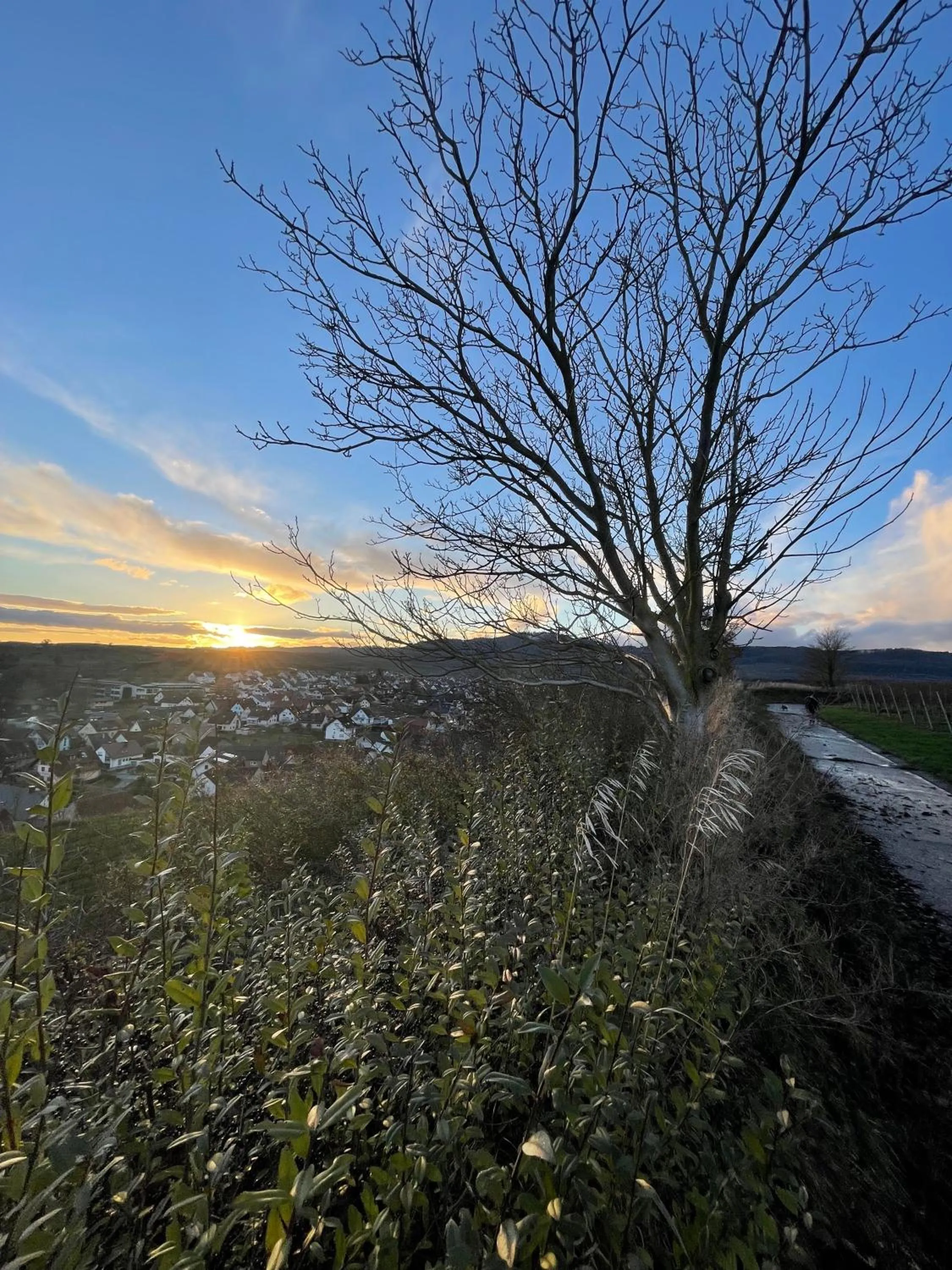 Activities in Gasthof Rebland