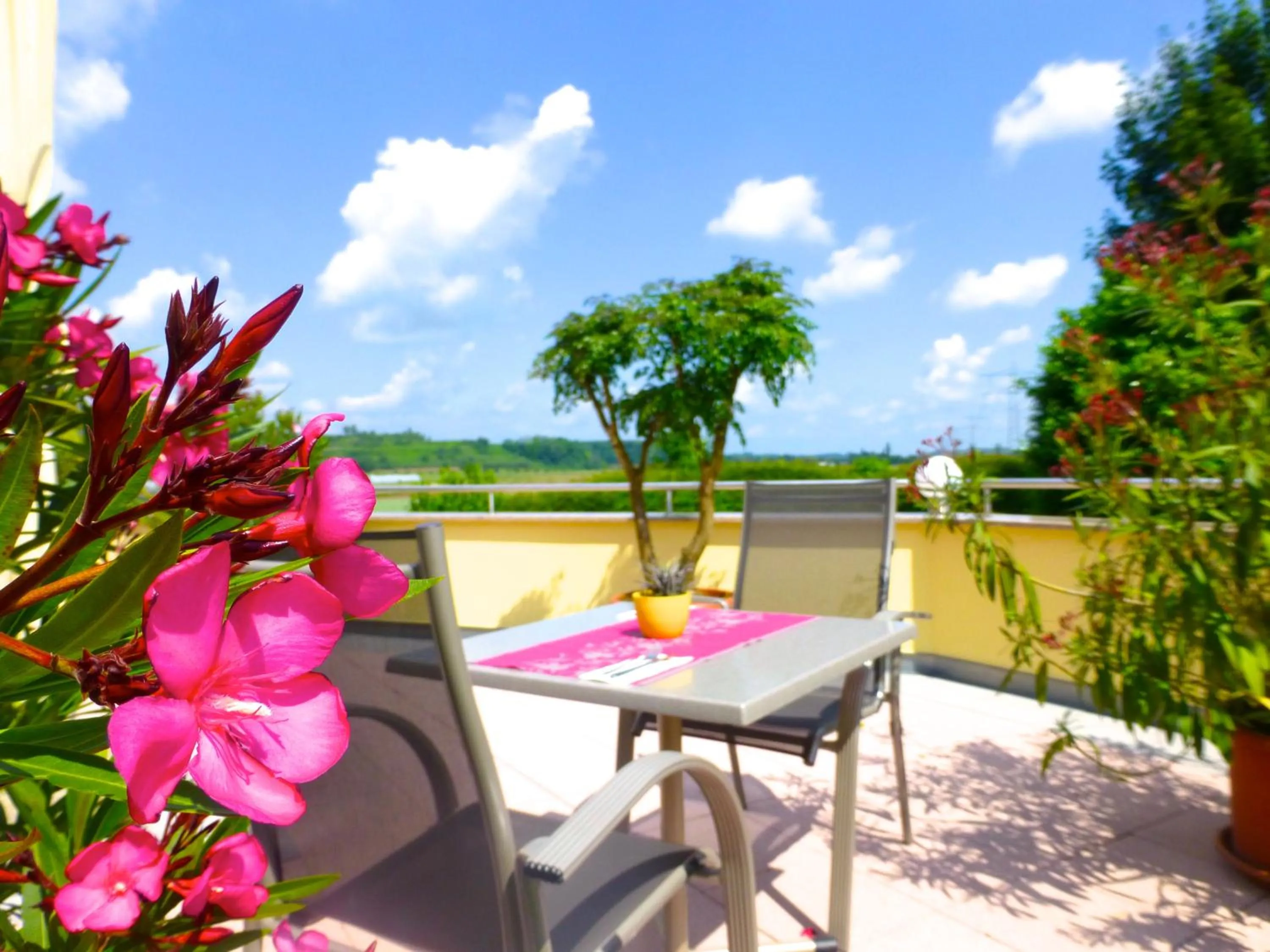 Restaurant/places to eat in Gasthof Rebland