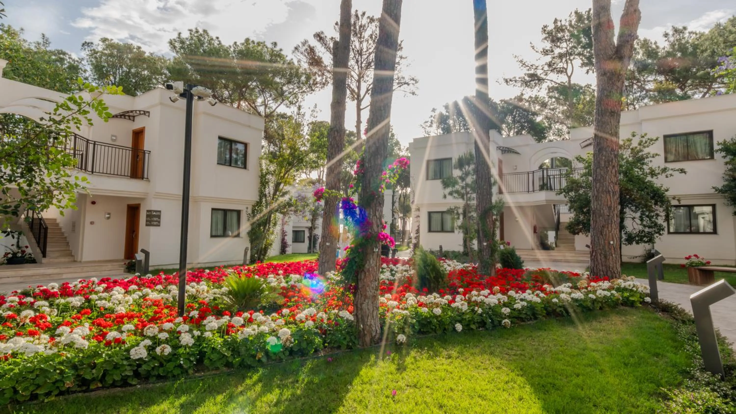 Spring in Siu Collection - Ultra All Inclusive