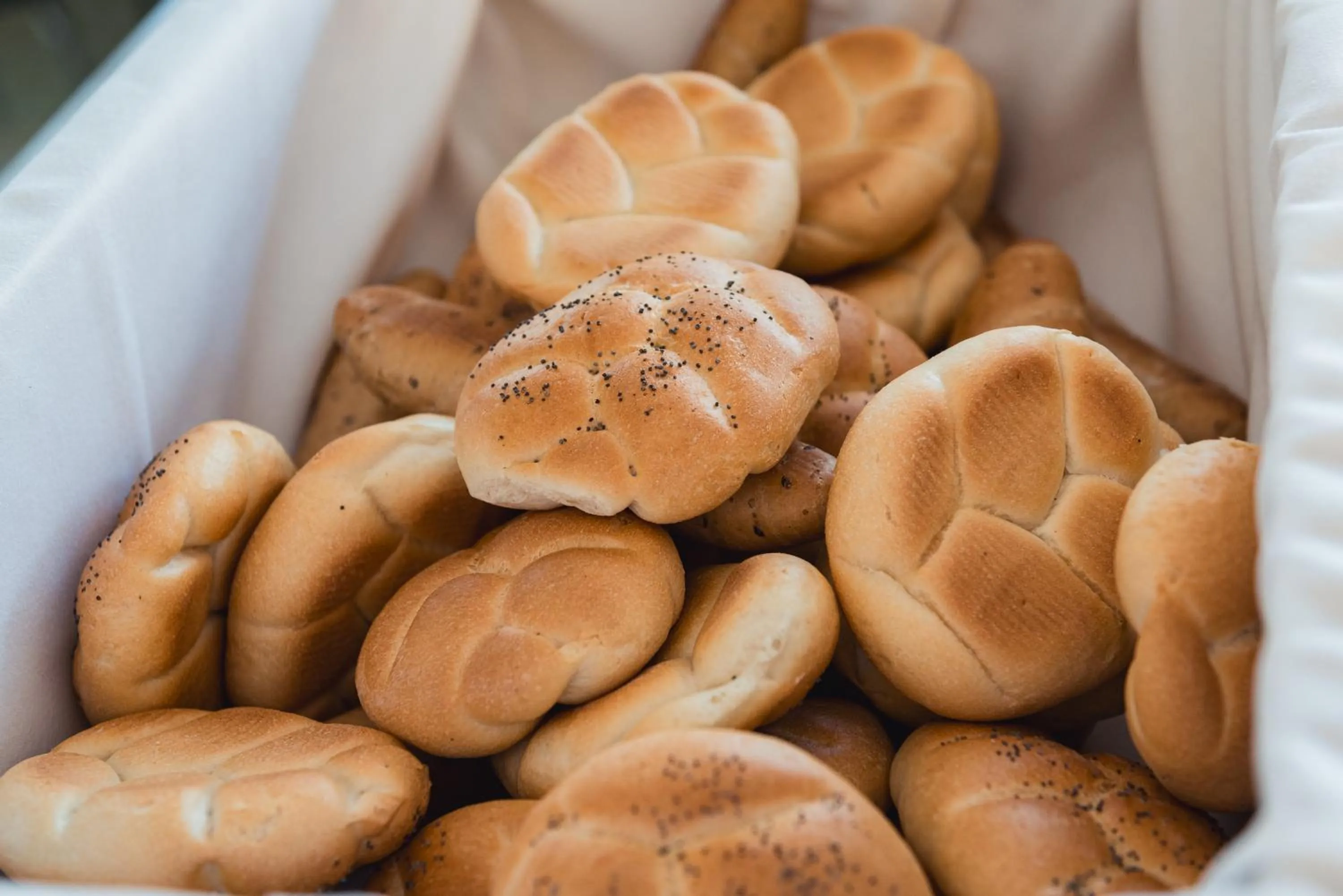 Property building in HOTEL AGRI