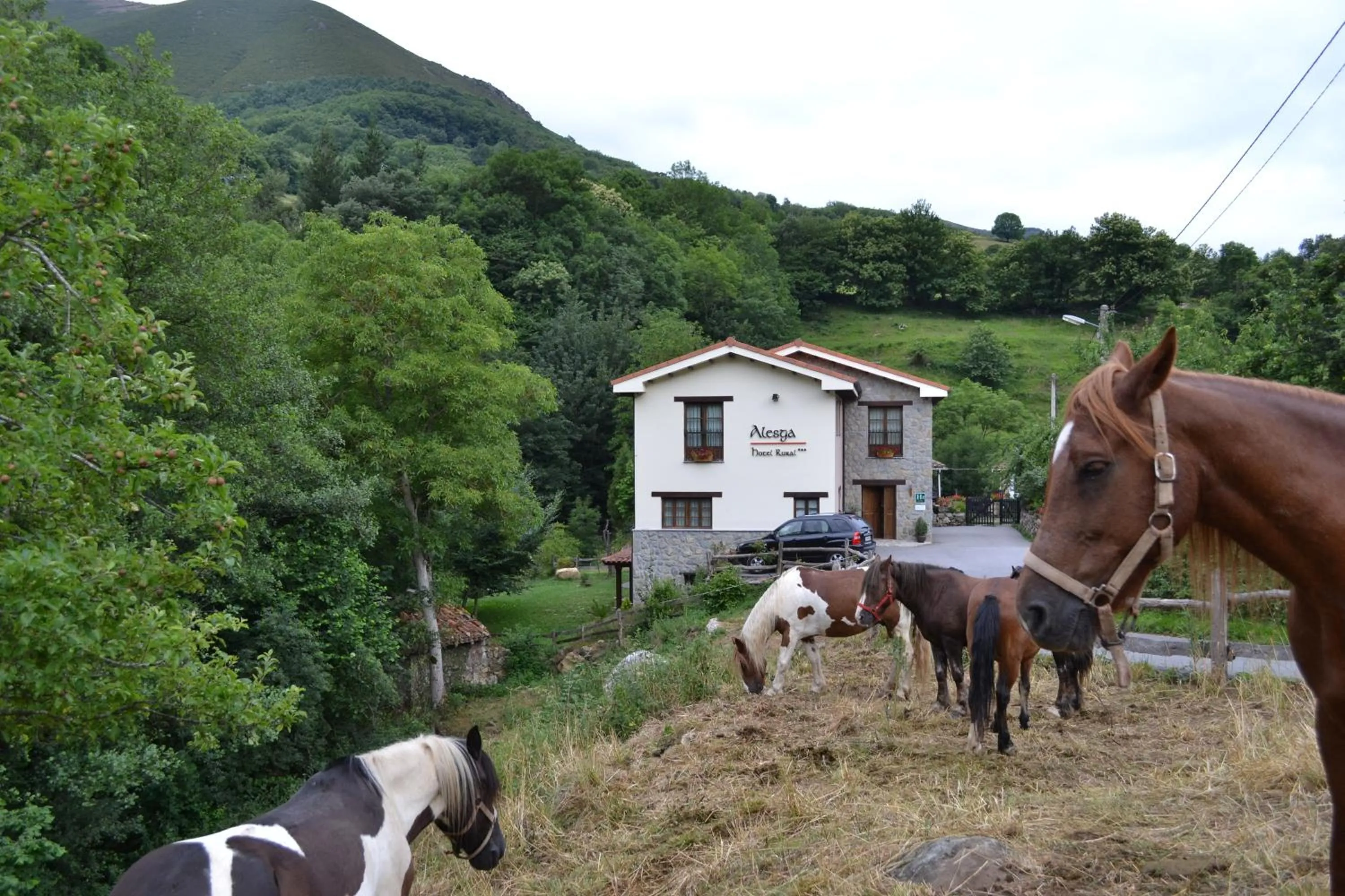Facade/entrance in Alesga Hotel Rural - Valles del Oso -Asturias