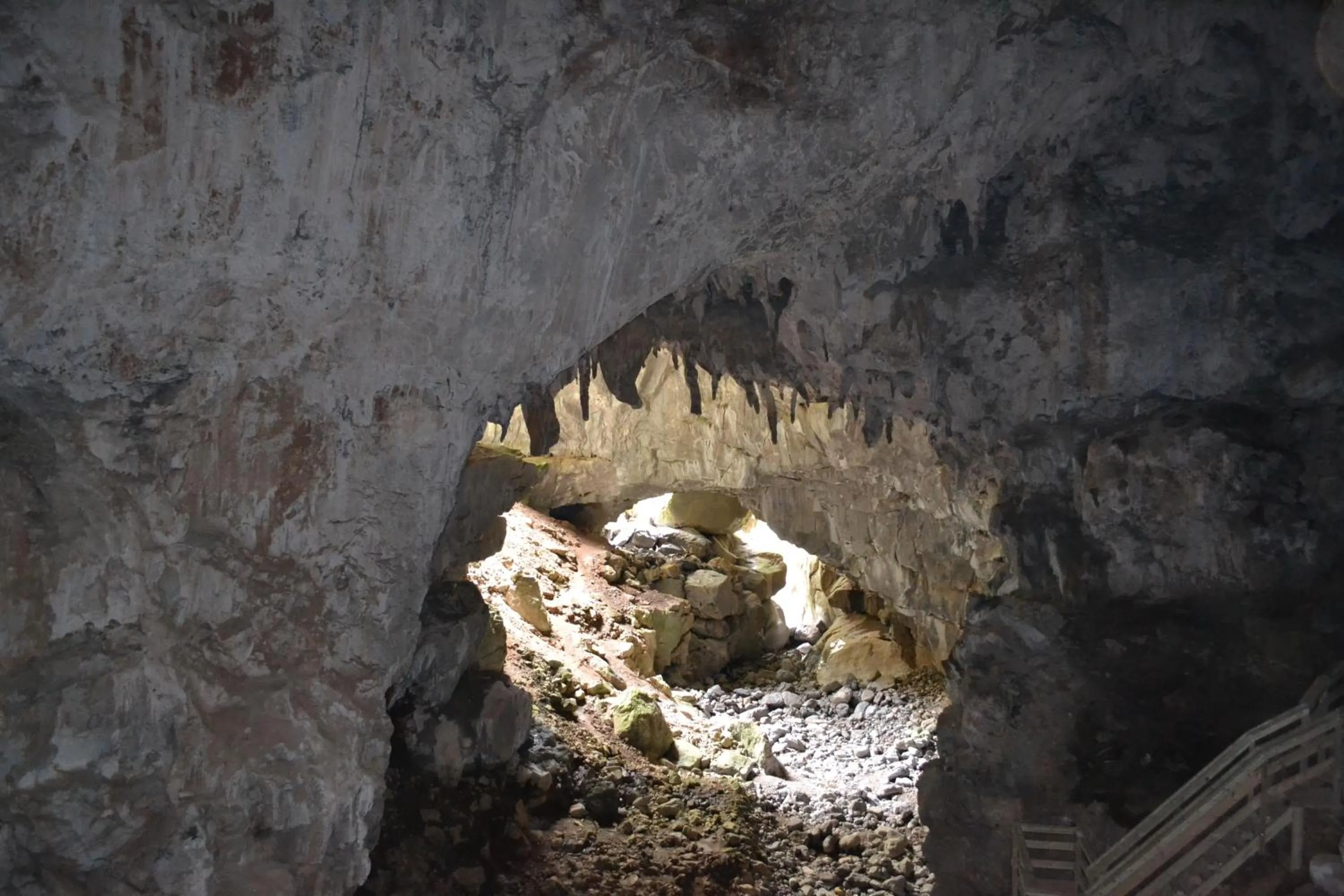Activities in Alesga Hotel Rural - Valles del Oso -Asturias