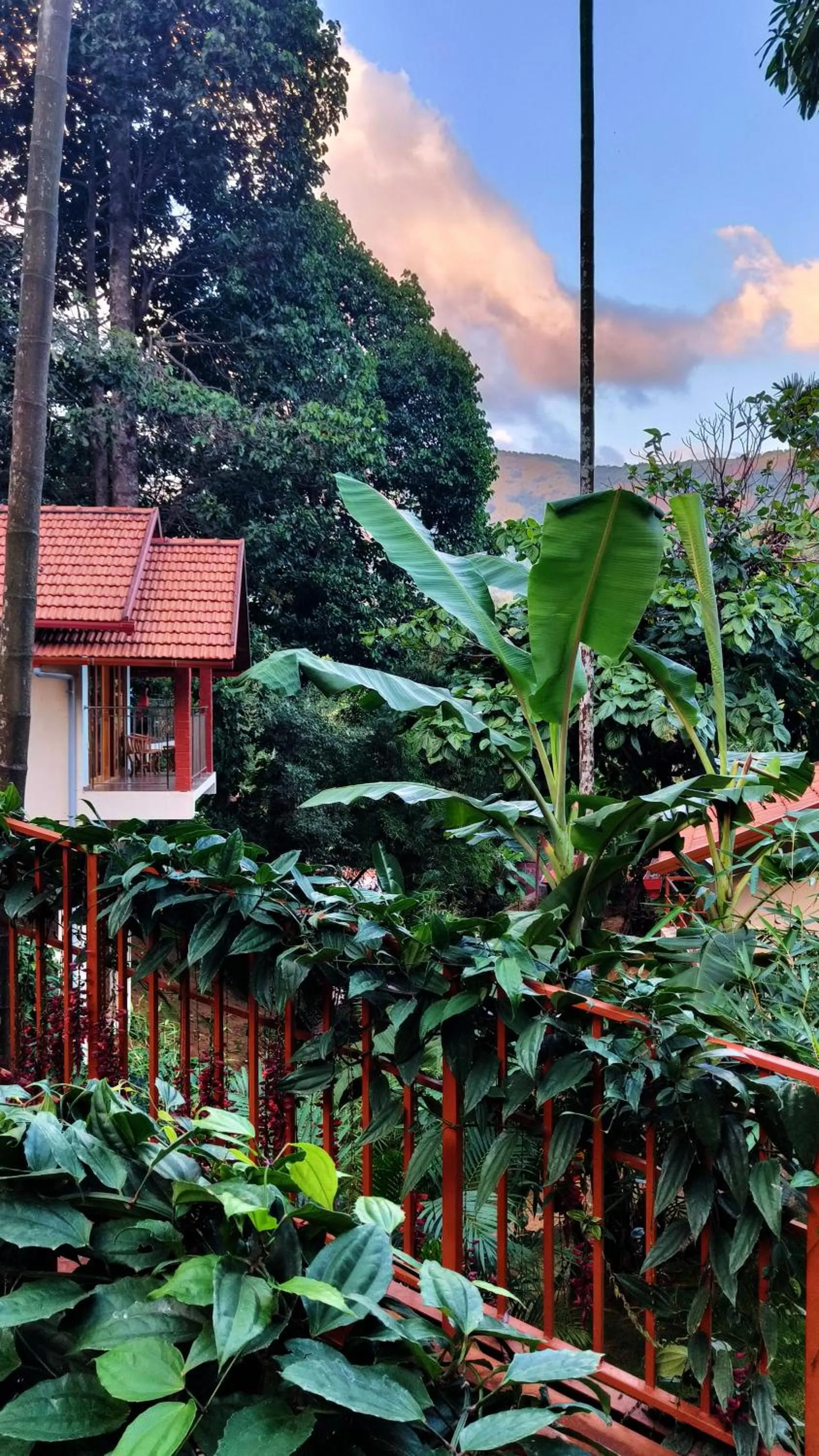 Garden view in Hill Crest Resort - Coorg