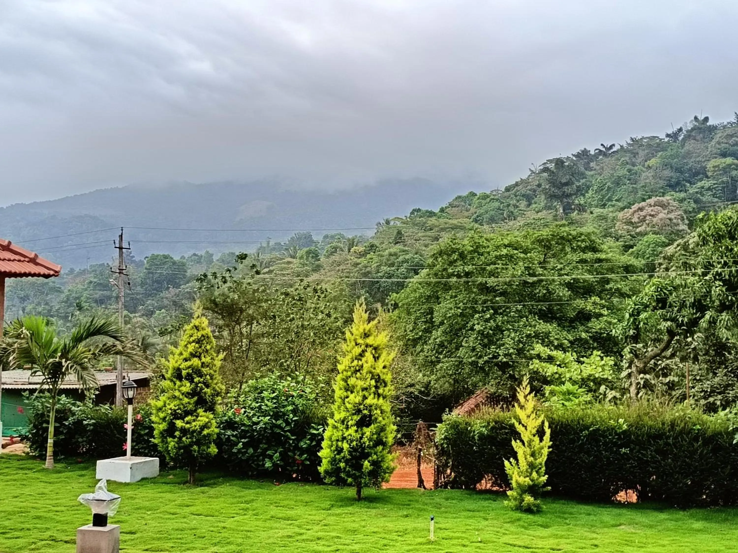 Garden in Hill Crest Resort - Coorg