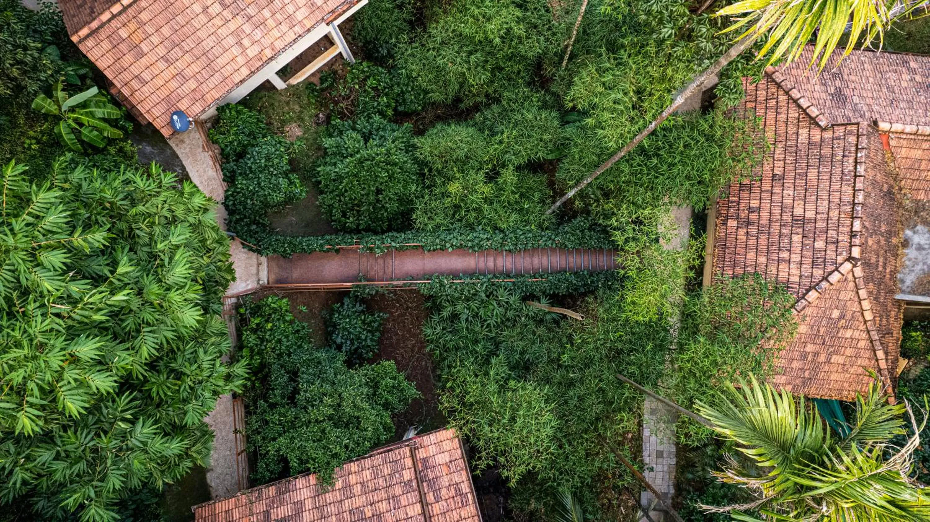 Bird's eye view in Hill Crest Resort - Coorg