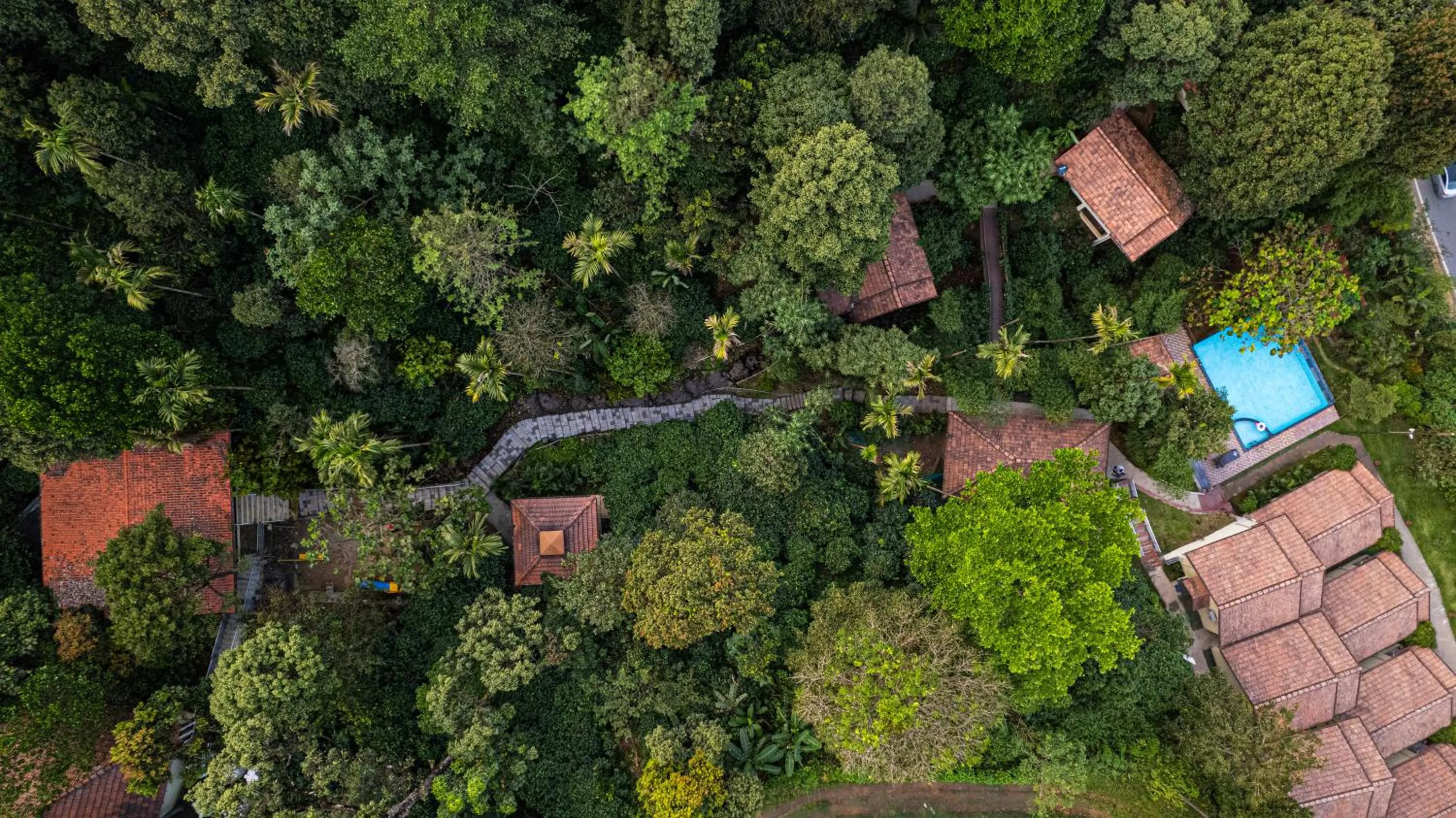 Bird's eye view in Hill Crest Resort - Coorg