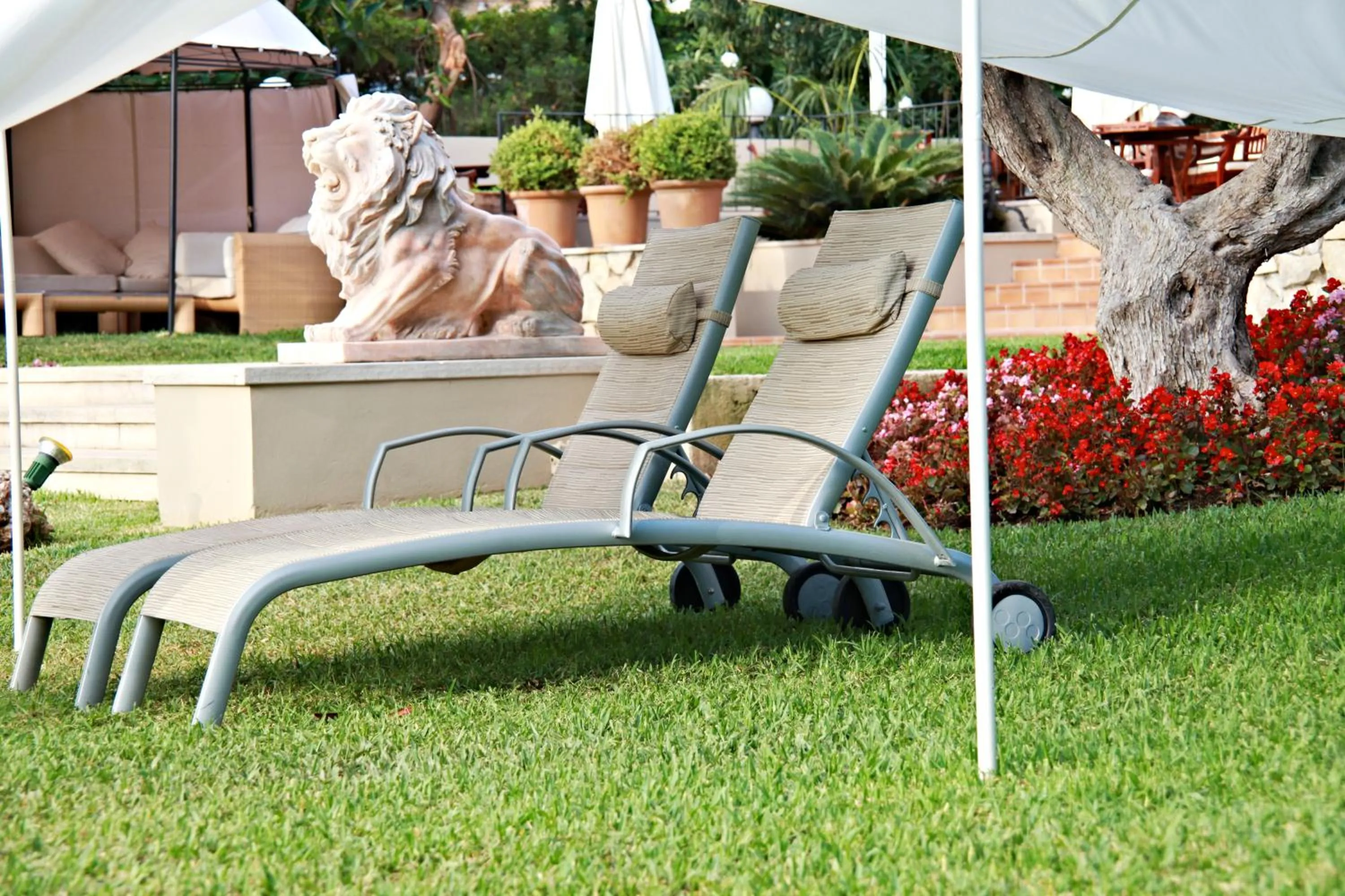 Garden in Hotel Son Caliu Spa Oasis