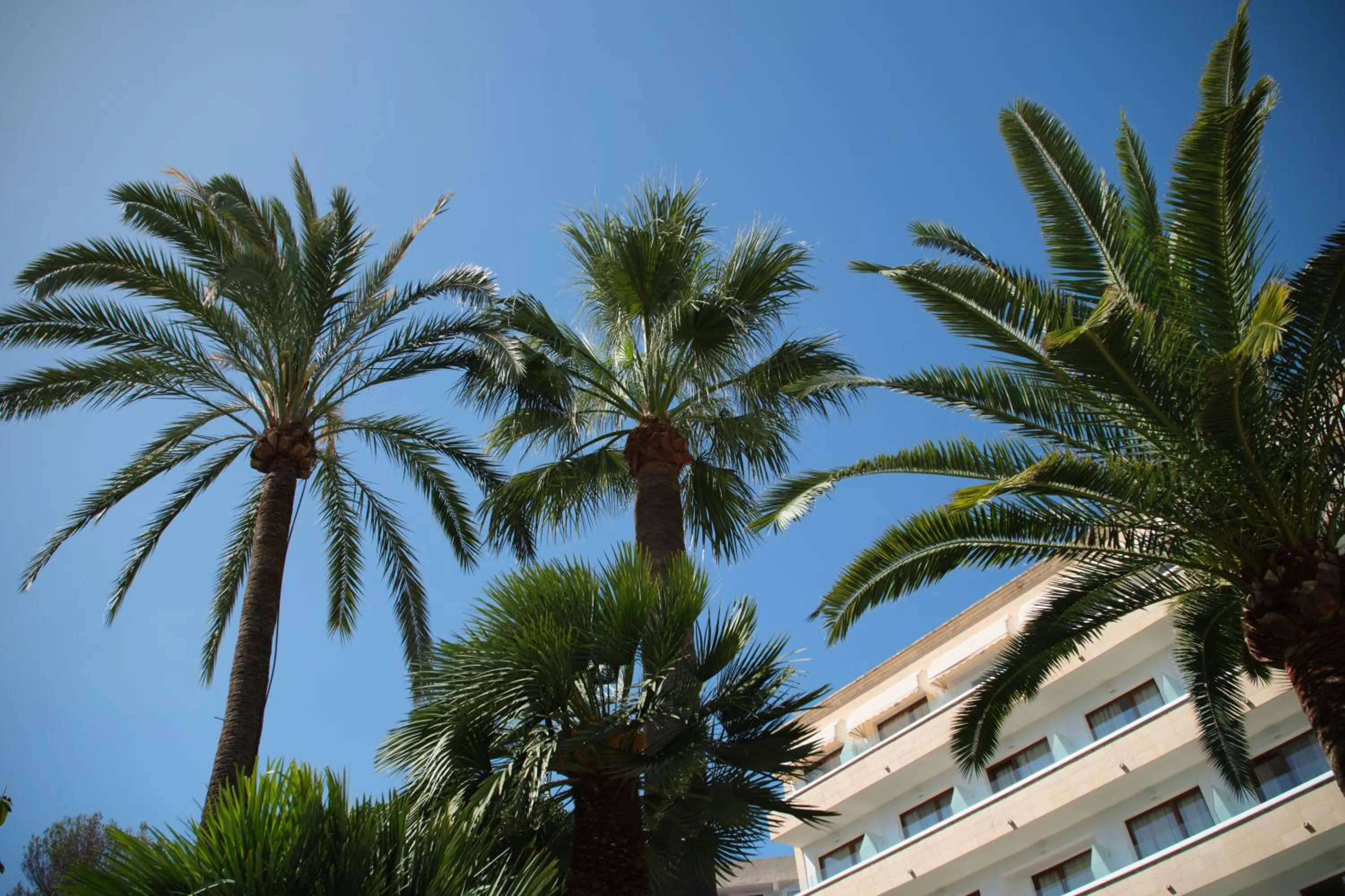 Hotel Son Caliu Spa Oasis