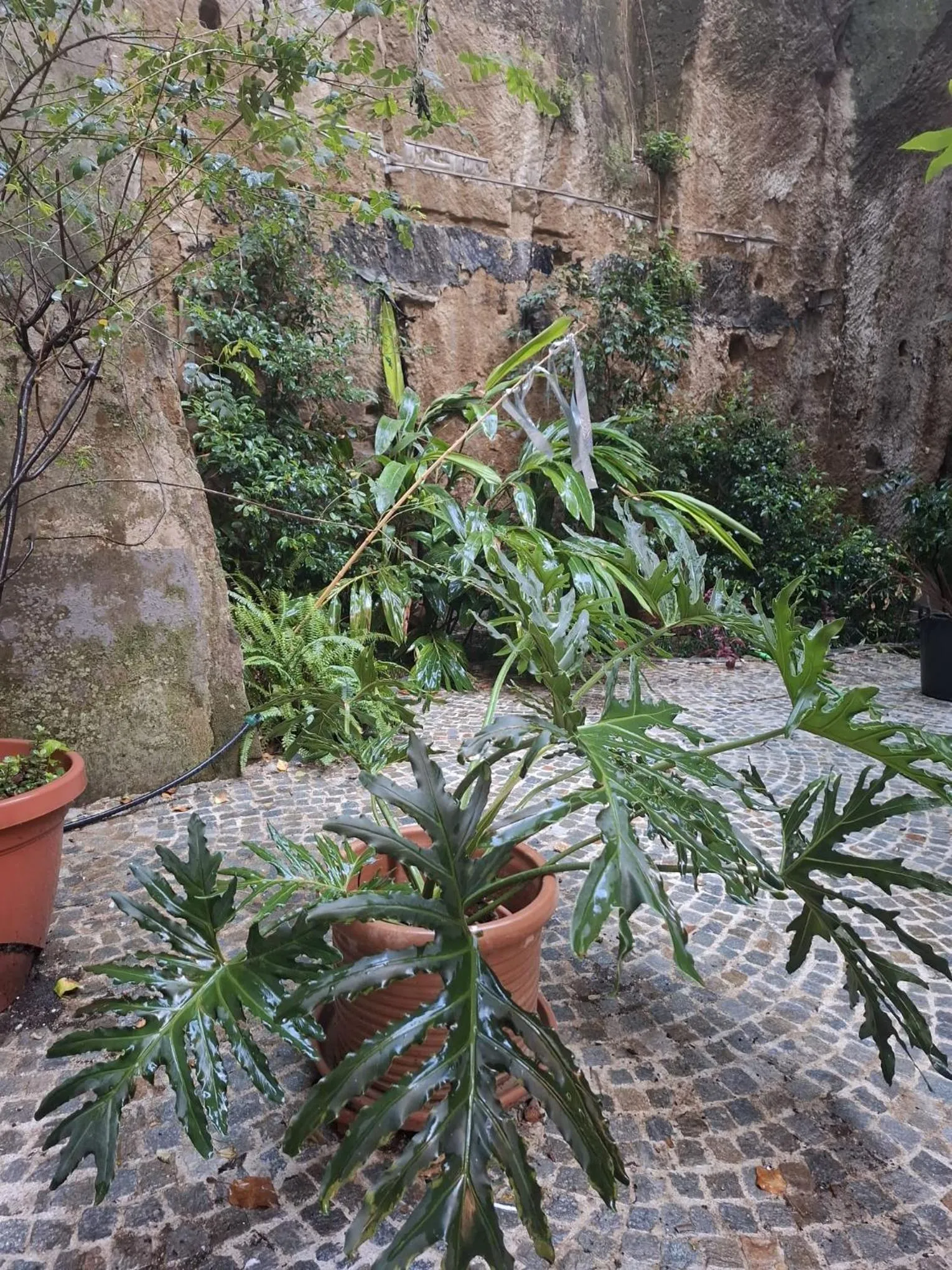 MONART HOSPITALITY Capodimonte