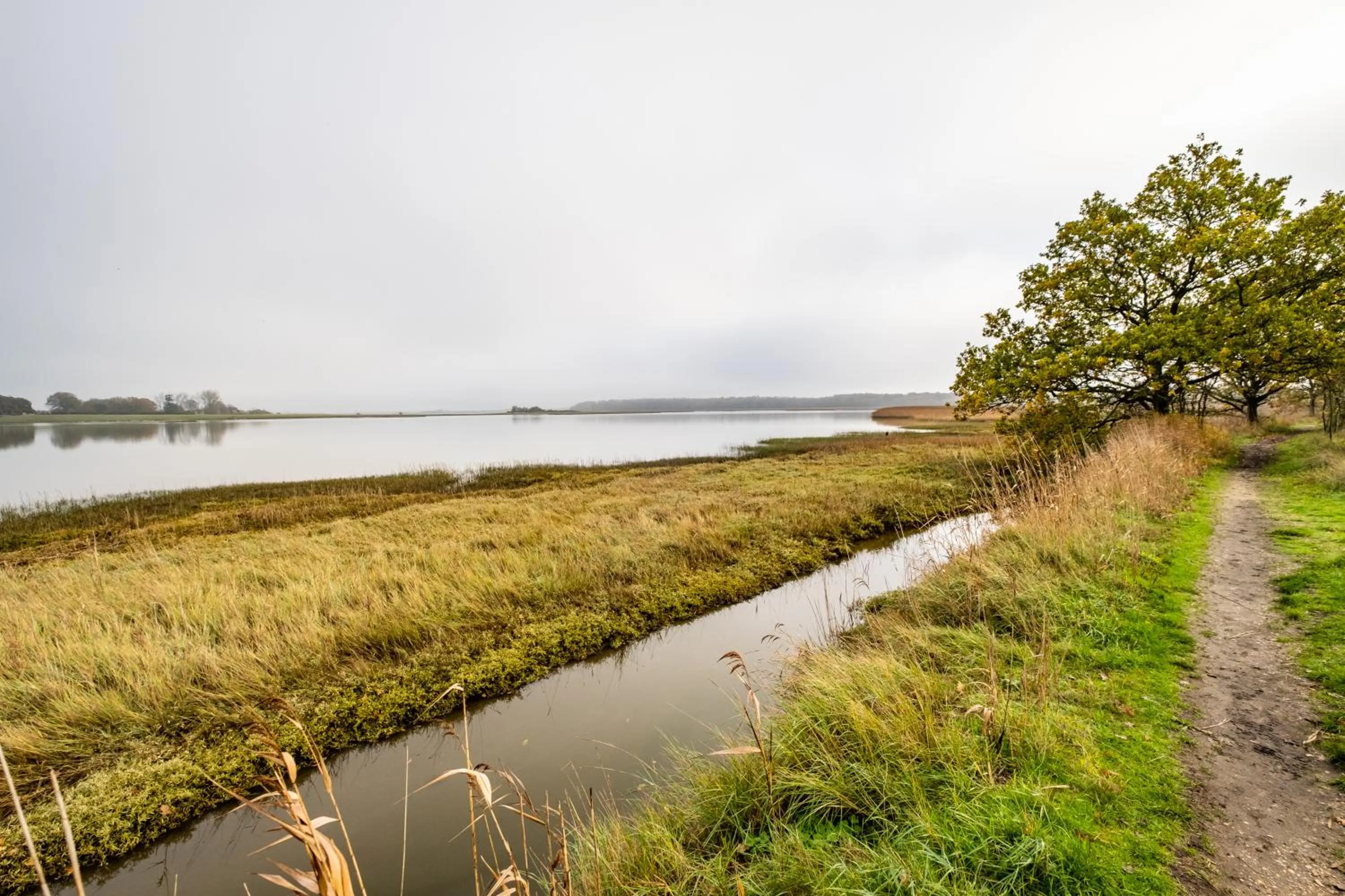 Natural landscape in White Hart Inn