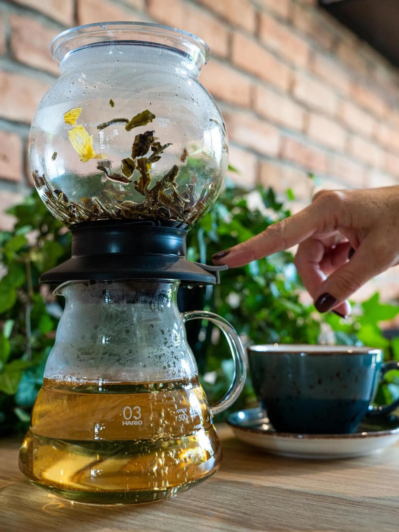 Restaurant/places to eat in IronResorts Niedźwiedzia 25