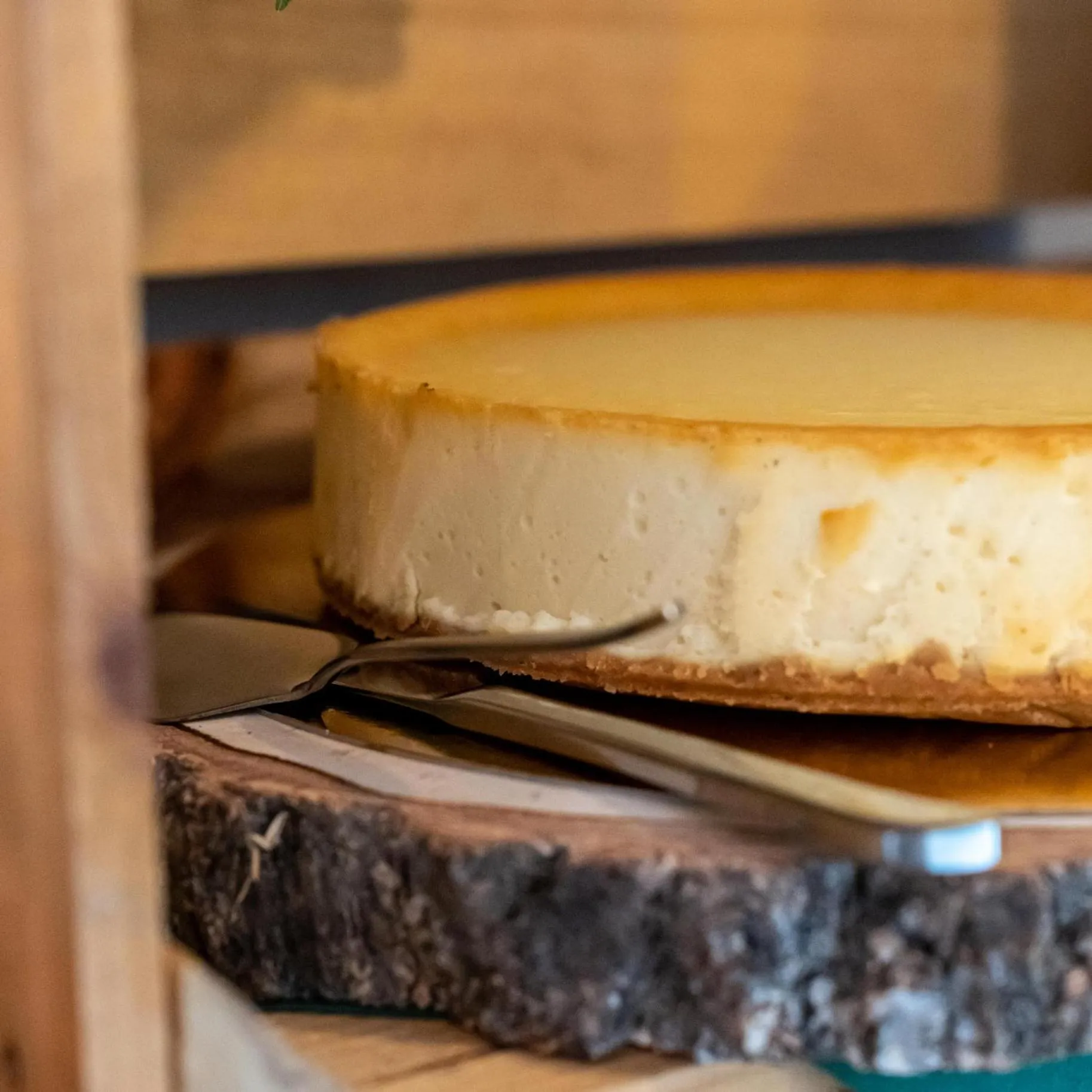 Restaurant/places to eat in IronResorts Niedźwiedzia 25